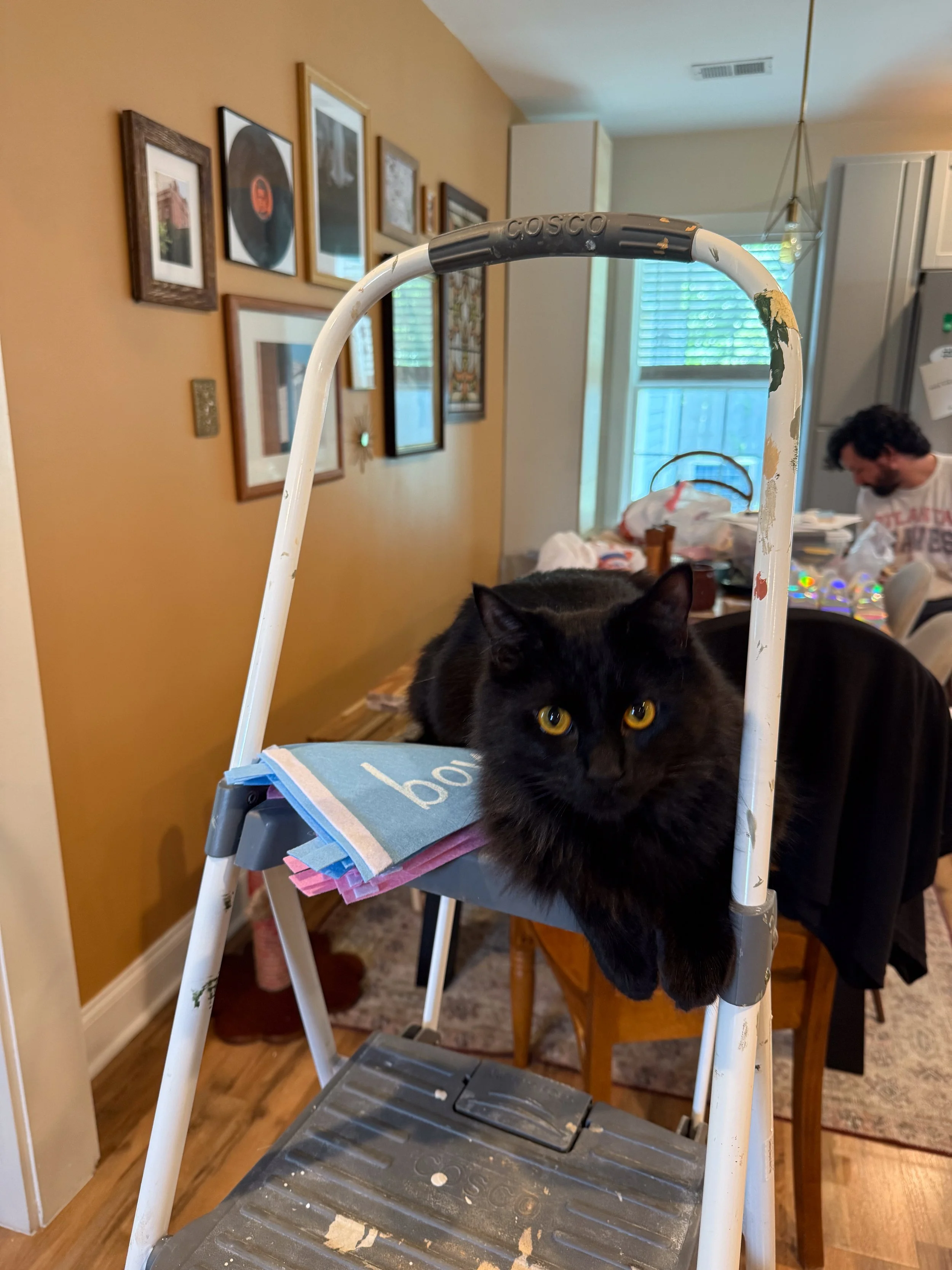Cook helping decorate