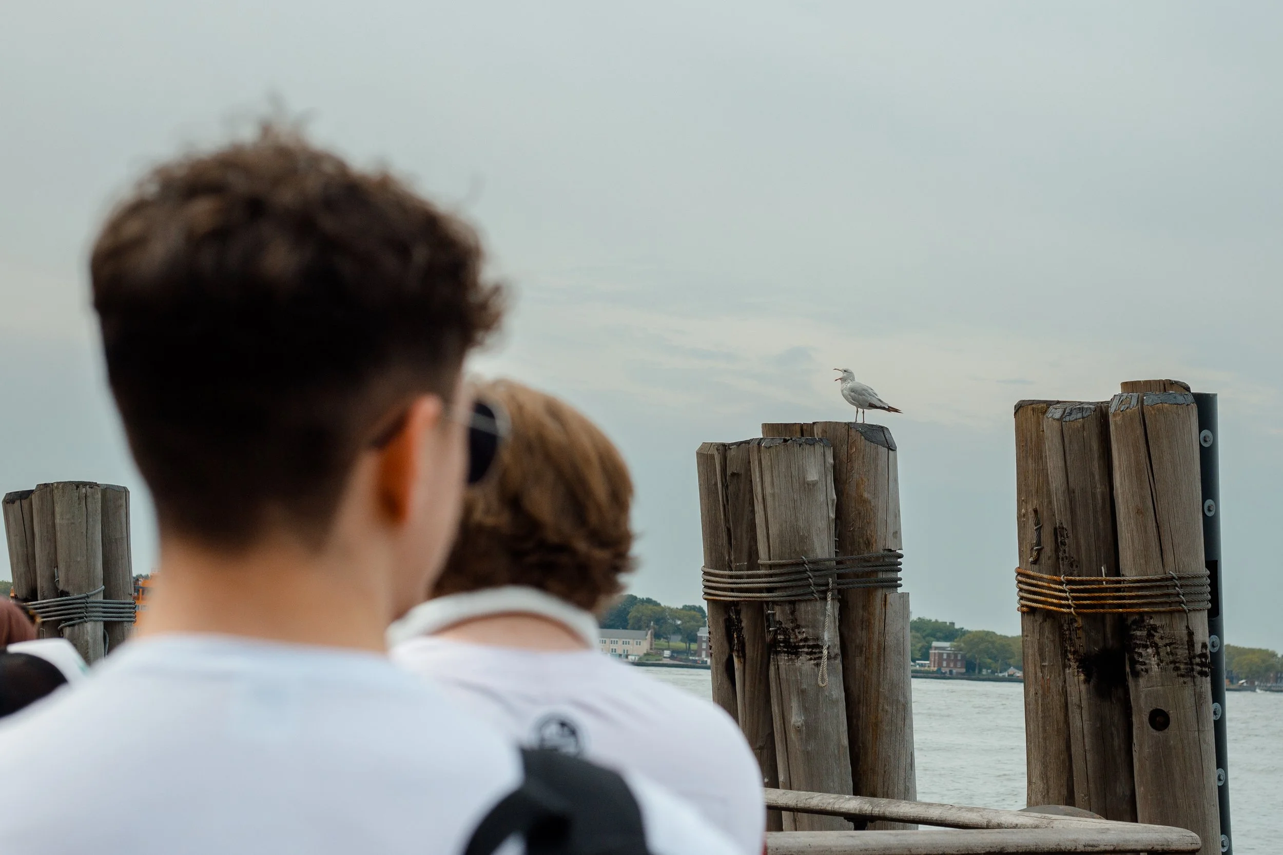 06_NYC_2023-5.jpg