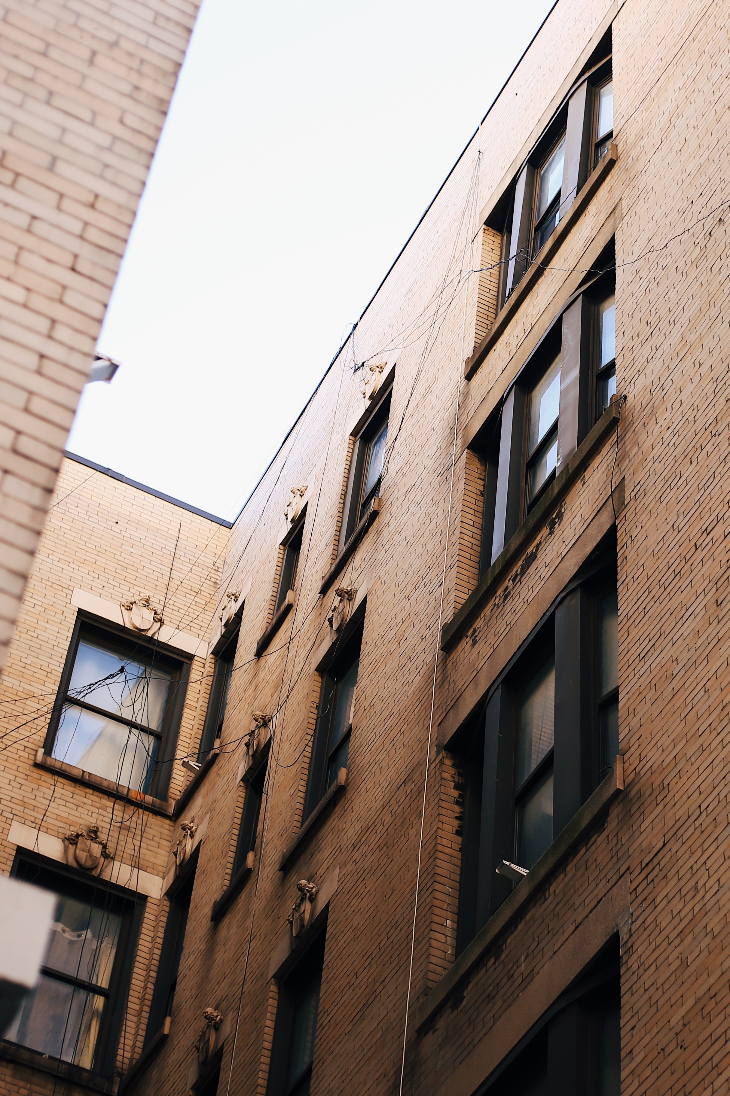 harlem4.JPG
