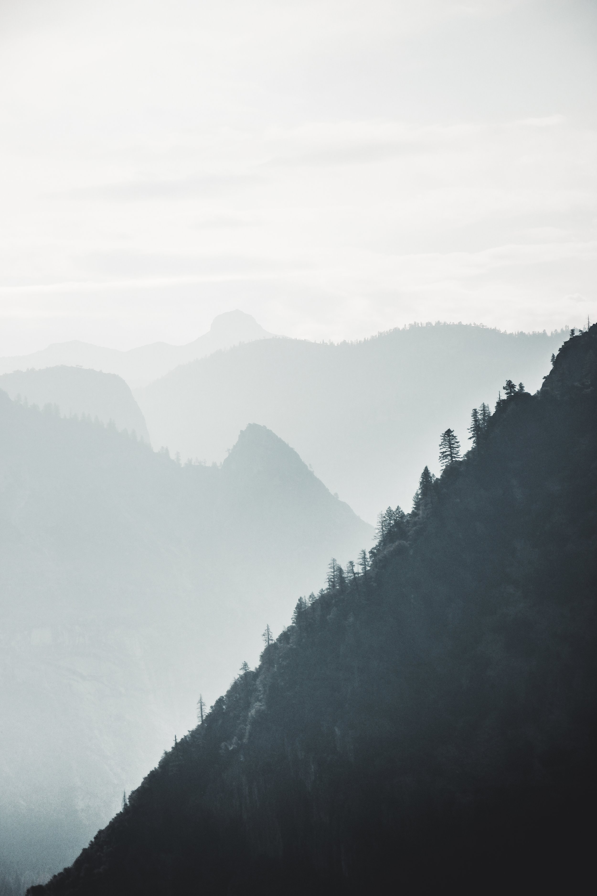 yose7fog.jpg