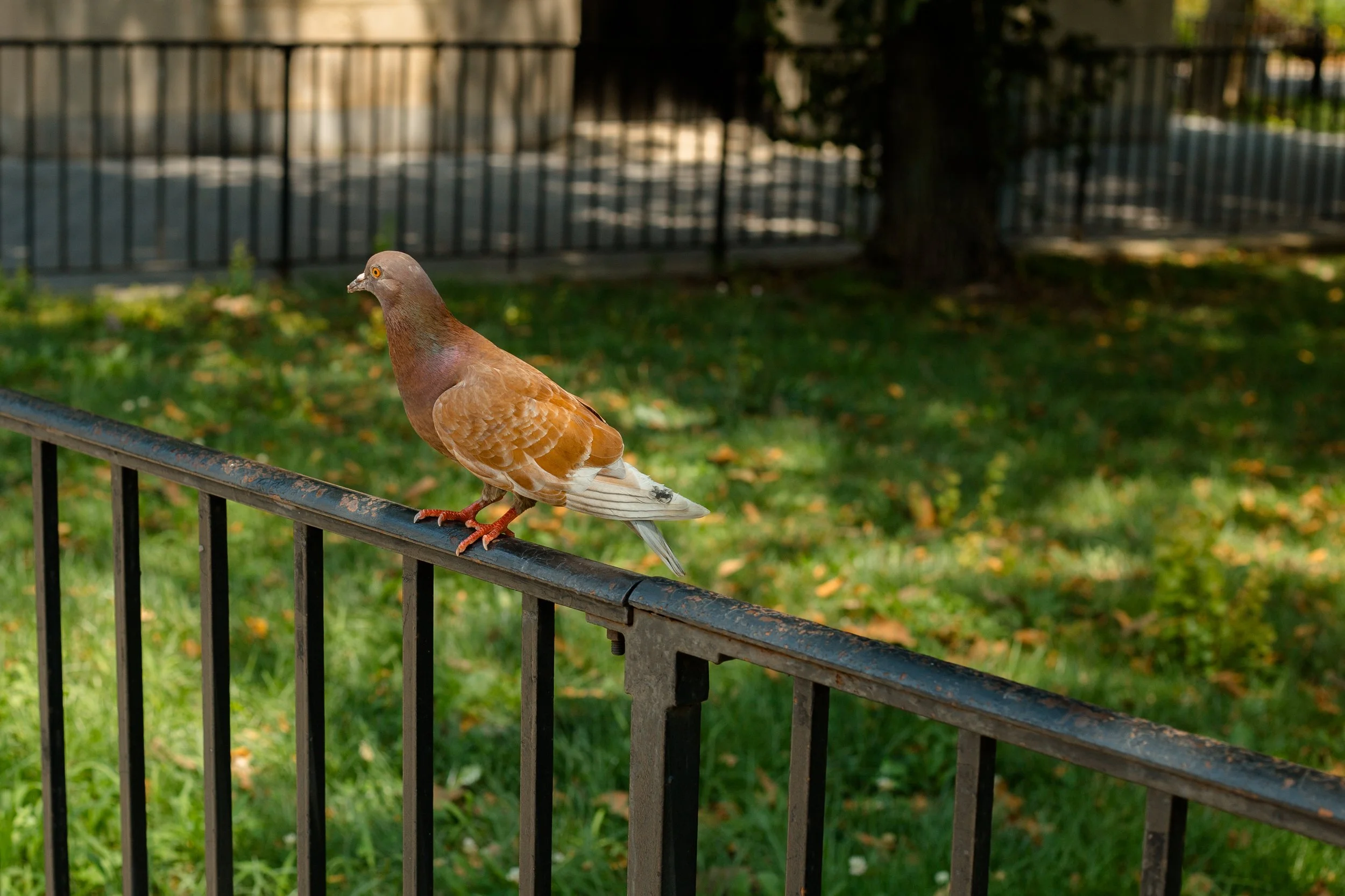 05_NYC_2023-37.jpg