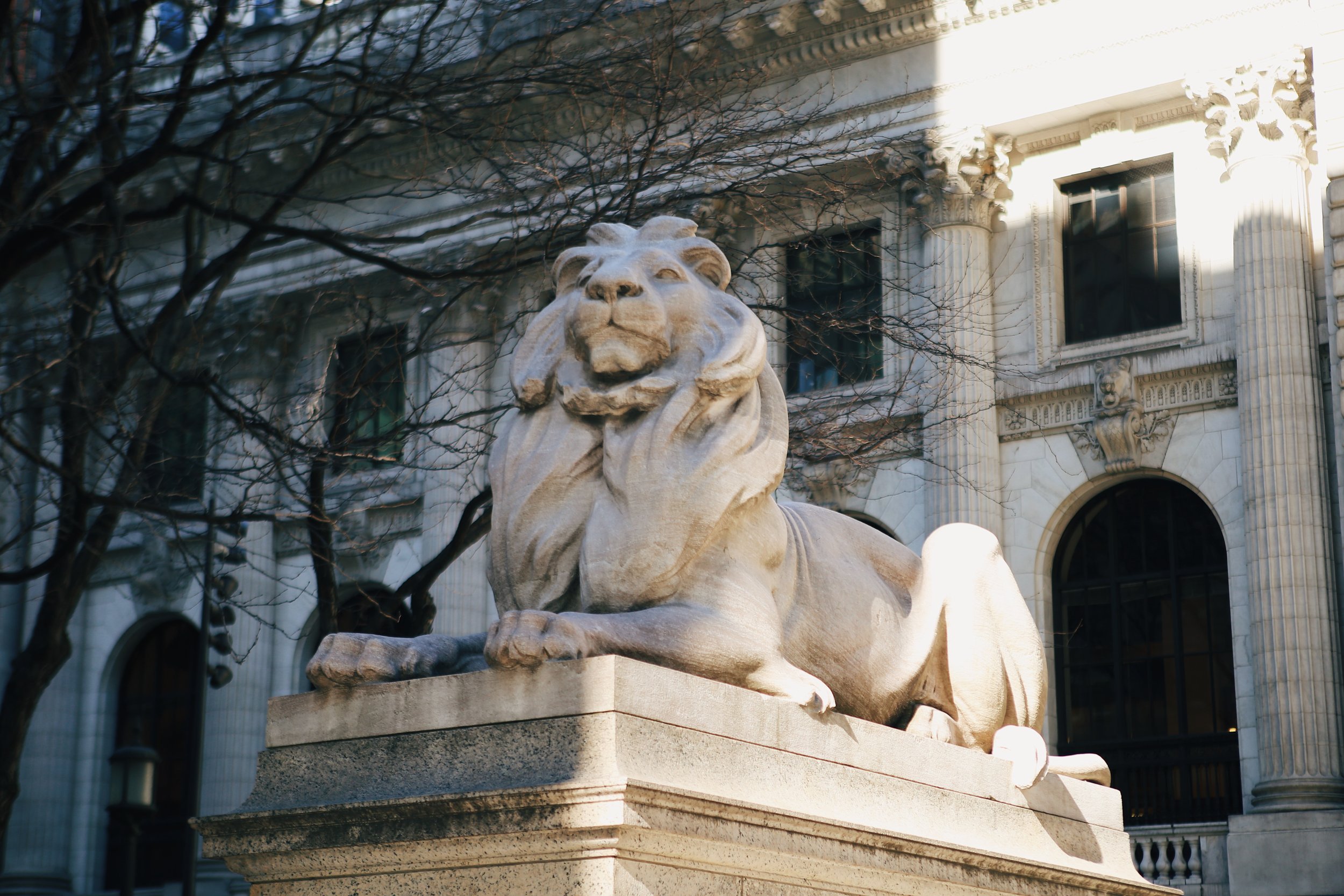 library7.JPG