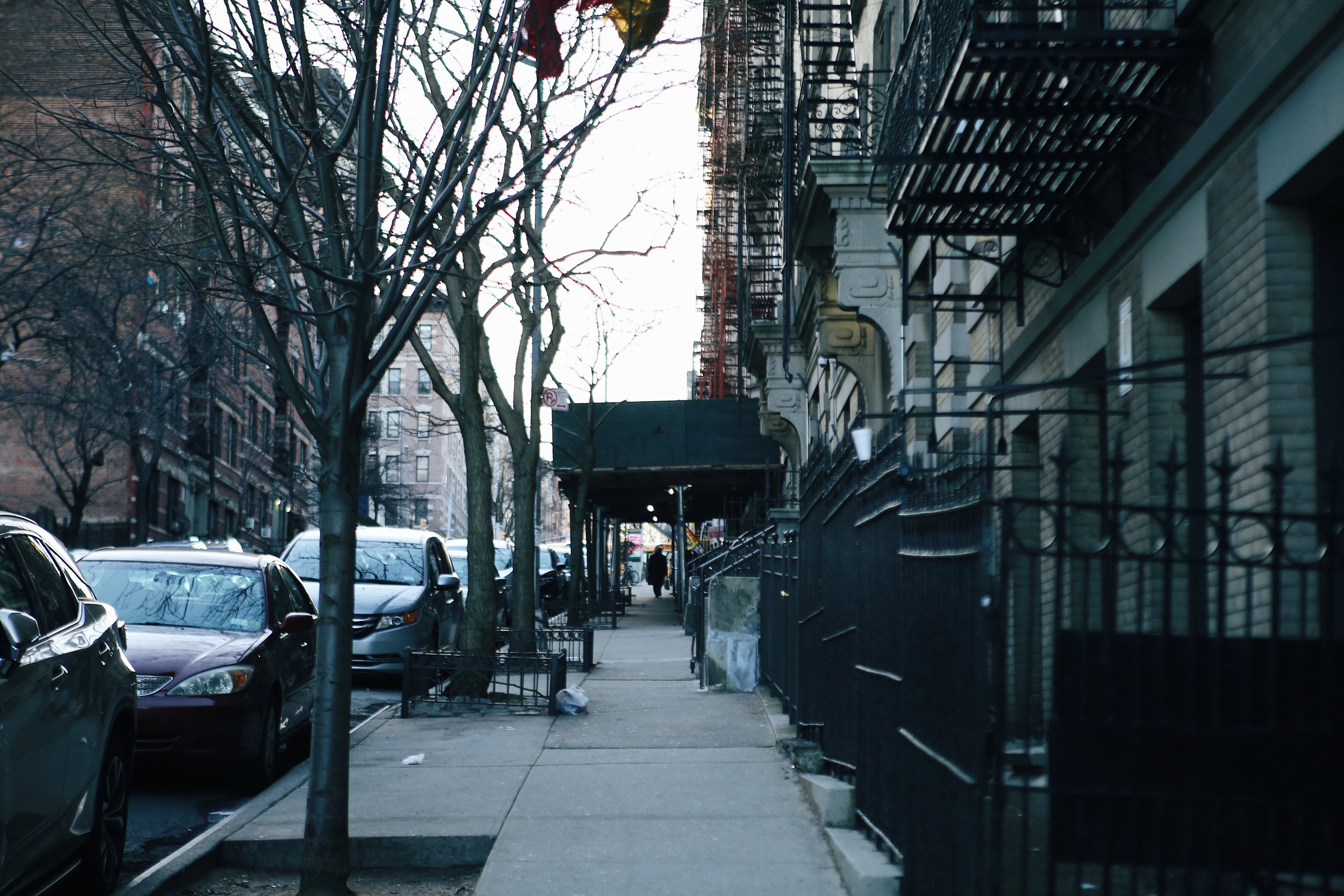 harlem5.JPG
