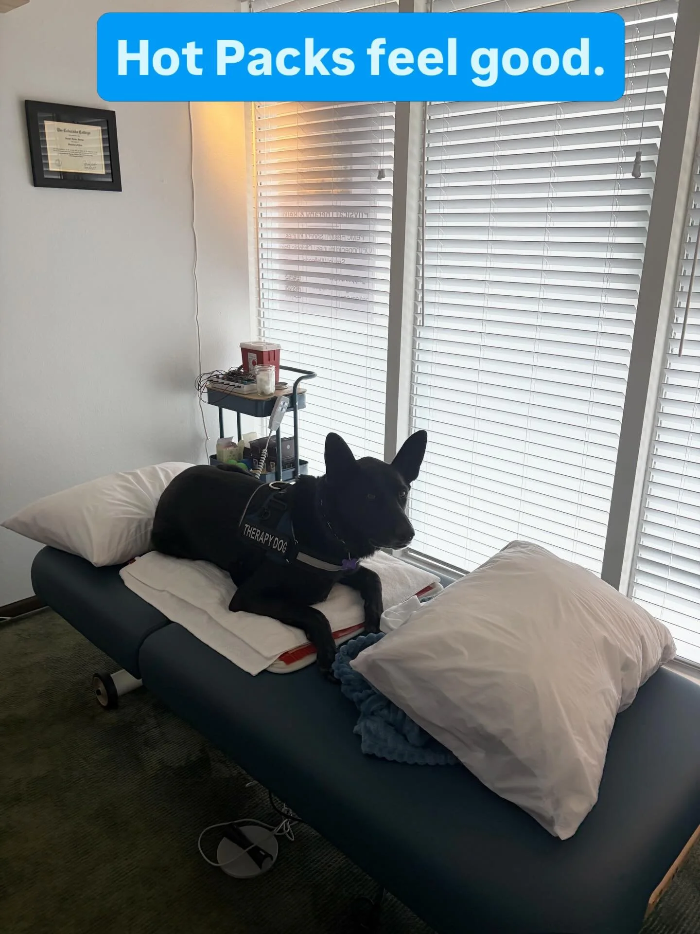 This week Ali enjoyed some heat therapy on her belly after a patient got off the table 😂🧘🏾&zwj;♀️🐶

#heat #physiotherapy #pelvichealth #endometriosis #therapydog