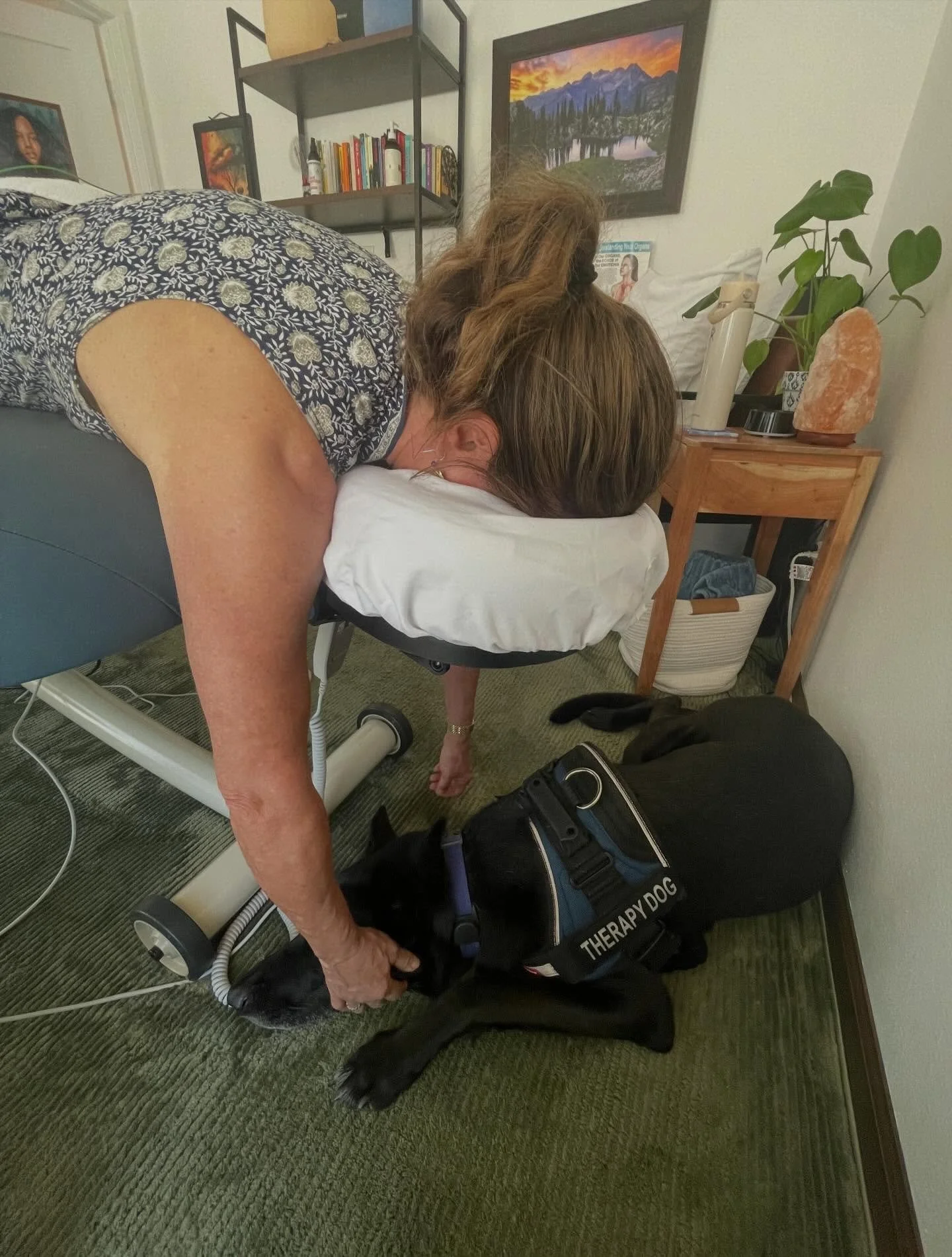 Patients request Ali lay under their headrest during dry needling sessions or other types of body work because it helps calm their nervous system. Bonus for Ali is she gets pets the whole time. One of my favorite provider moments is observing both Al