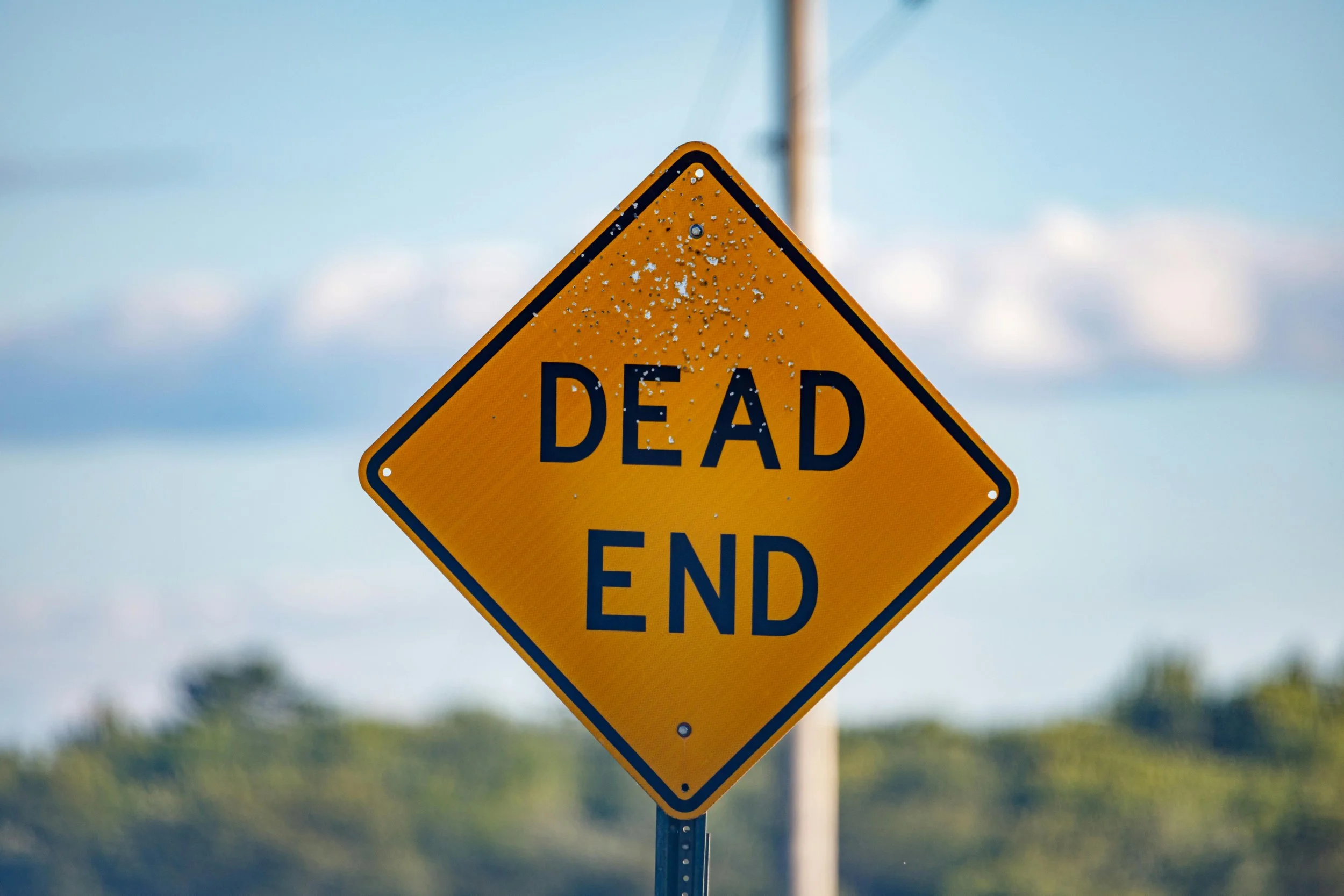 🚧 No More Dead Ends: Design Your Art Website With Purpose! 🚀