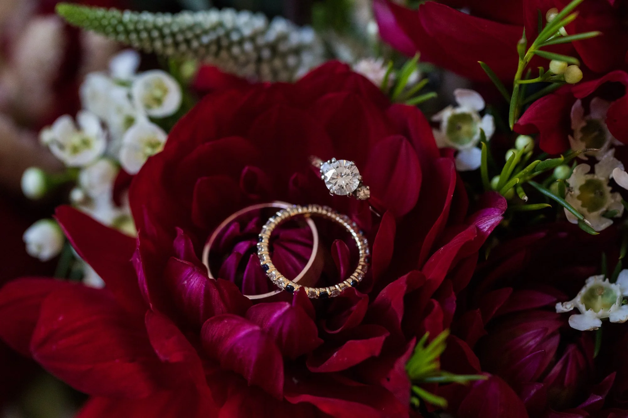 A close-up of wedding rings resting on red vegetation with white and green flowers around them.