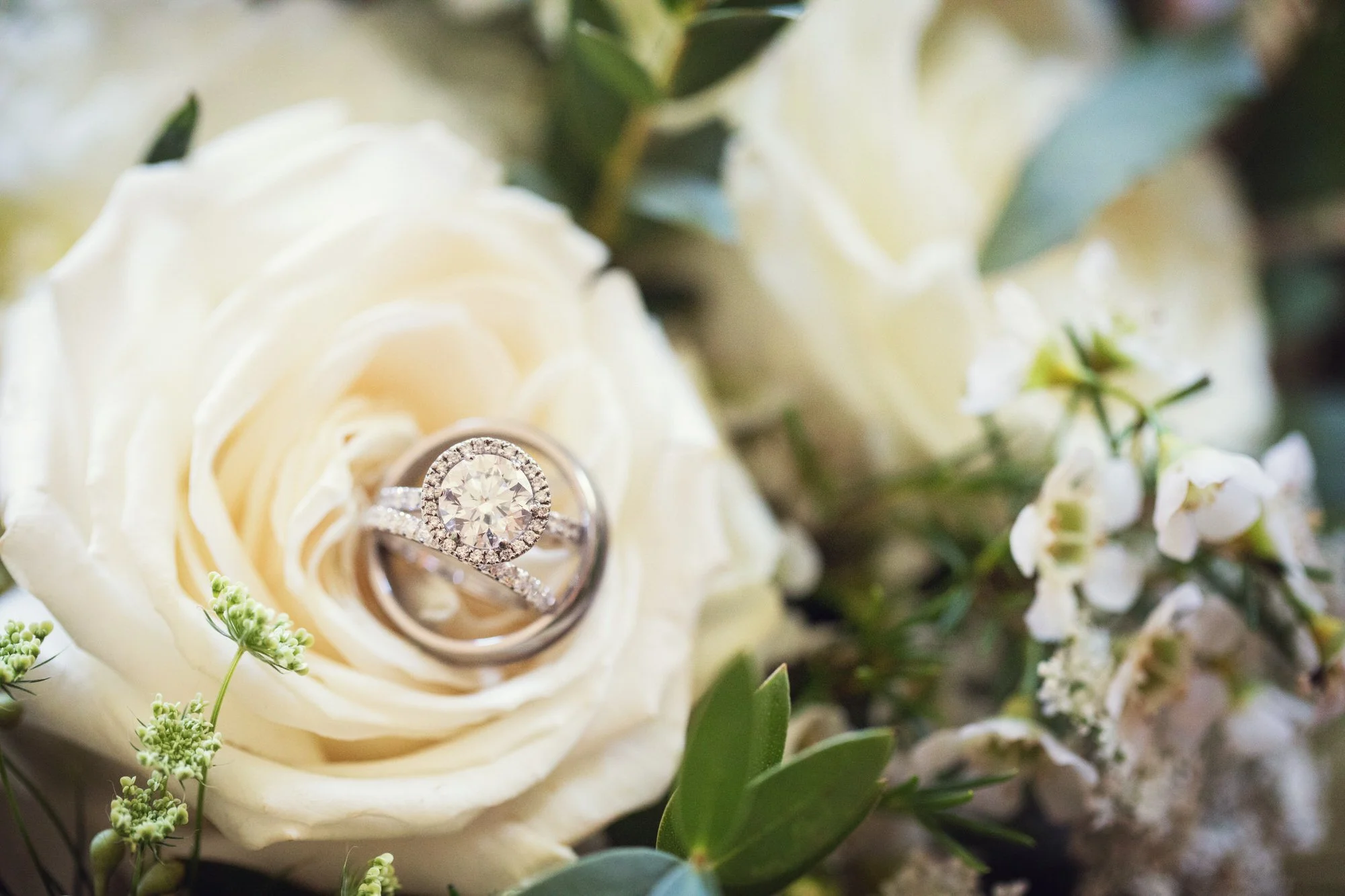 Diamond engagement ring with a halo setting placed on a white rose surrounded by greenery and flowers.