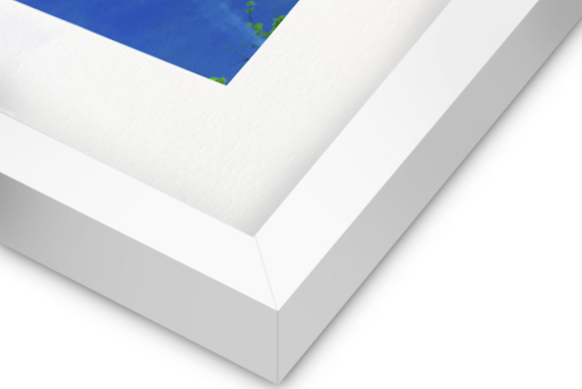 White Frame.png (Copy)