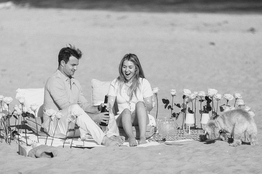 A couple sitting on a beach with a picnic setup surrounded by white roses, enjoying drinks, with a small dog nearby.