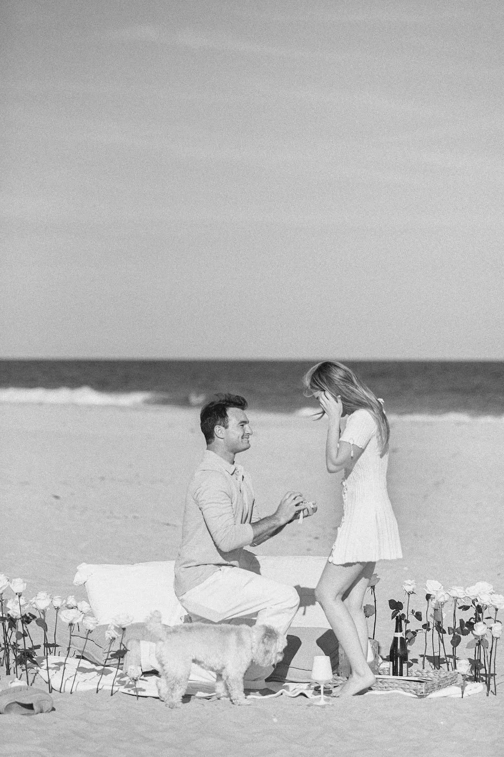 A couple is on a beach, with the man kneeling and holding a ring, proposing to the woman who appears surprised. They are surrounded by roses and a small dog is nearby.