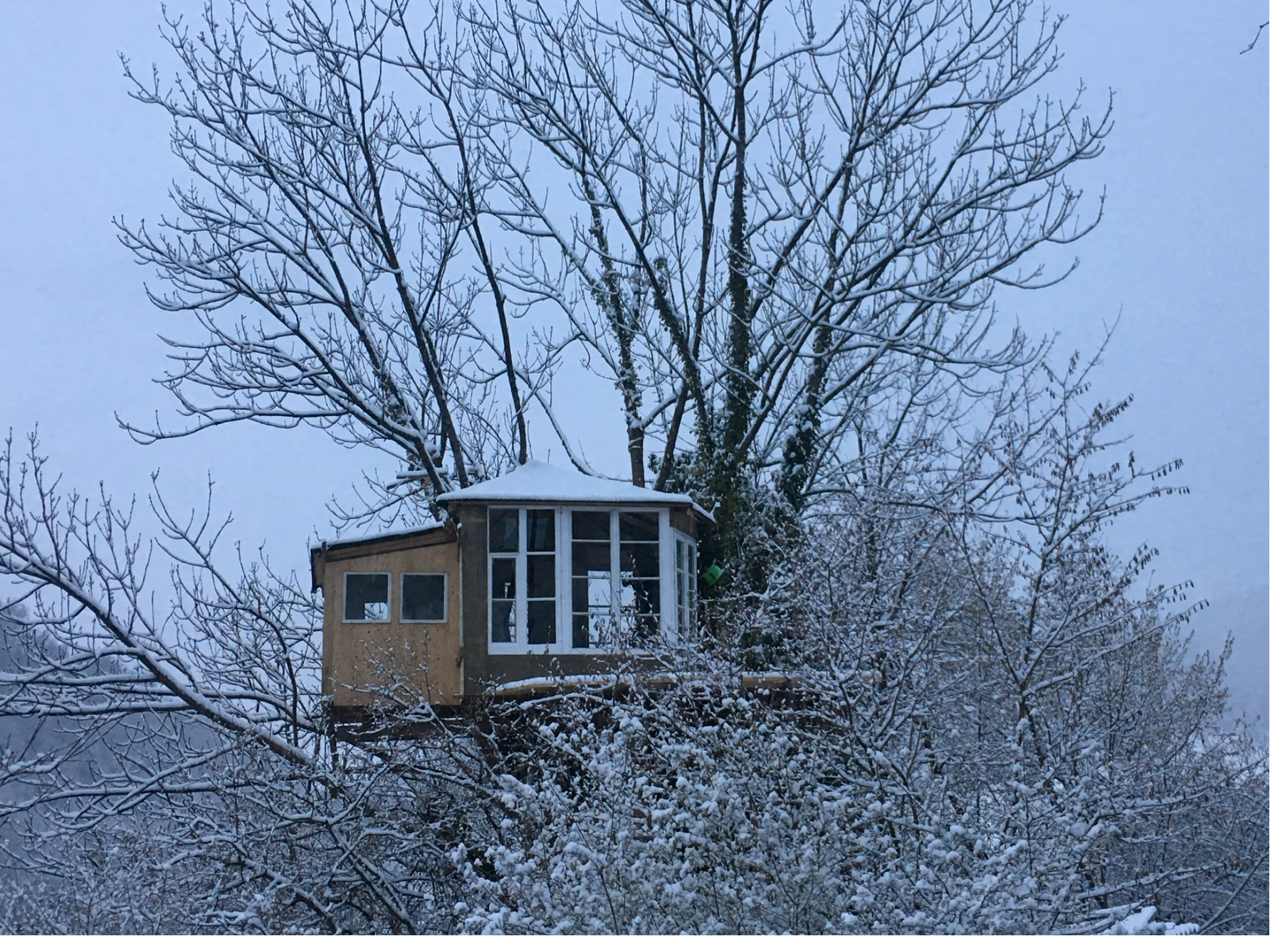Ein Baum mit nackten Ästen, bedeckt mit Schnee, vor einem Haus mit einer großen verglasten Anbauten im winterlichen Himmel.