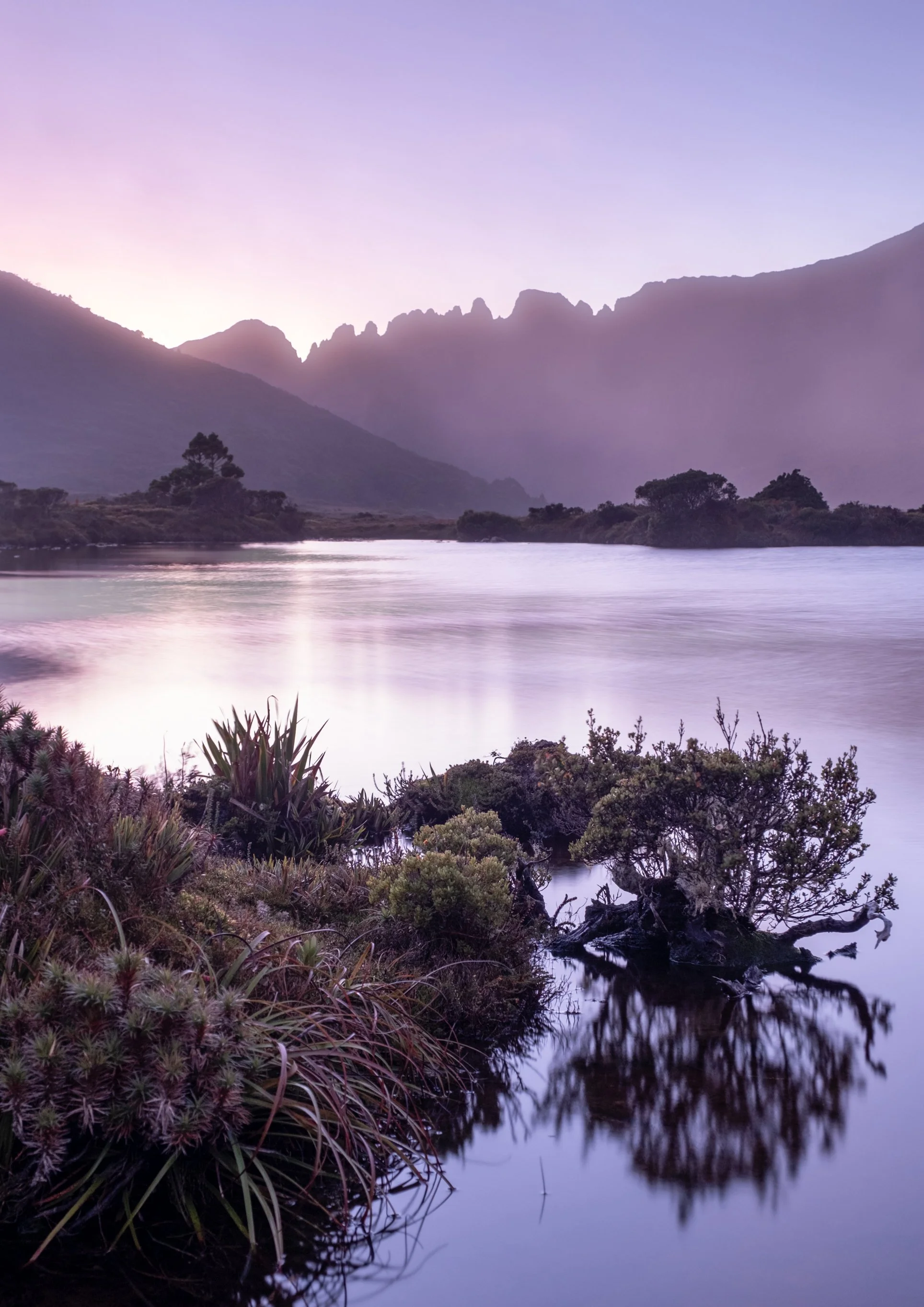 Landscape-20 copy.jpg