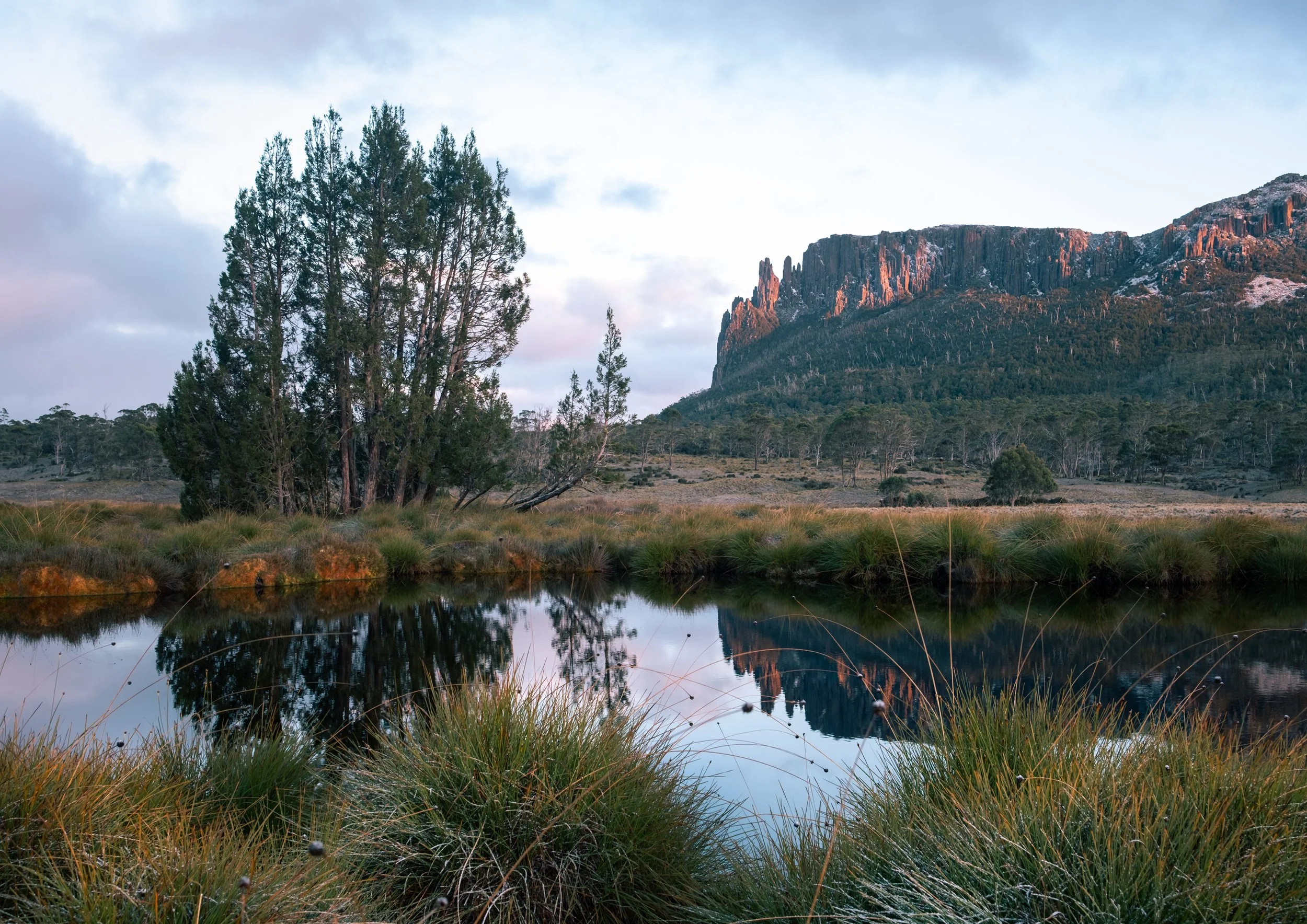 Landscape-1.jpg