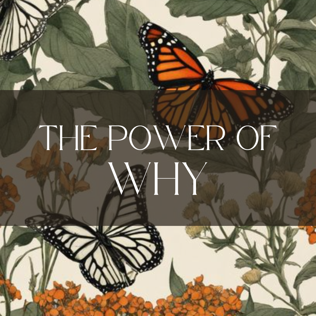 The Power of WHY