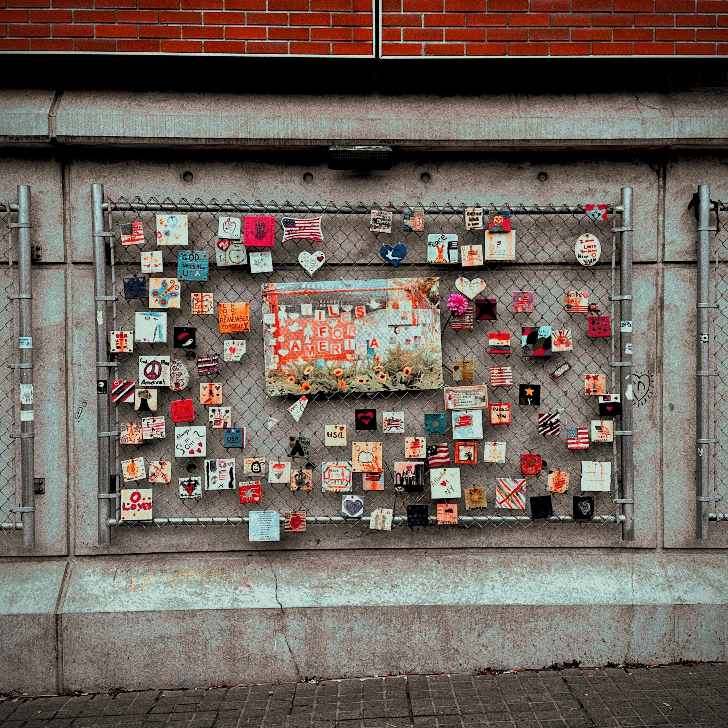 Photo Apr 30 2023, 9 54 01 AM.jpg