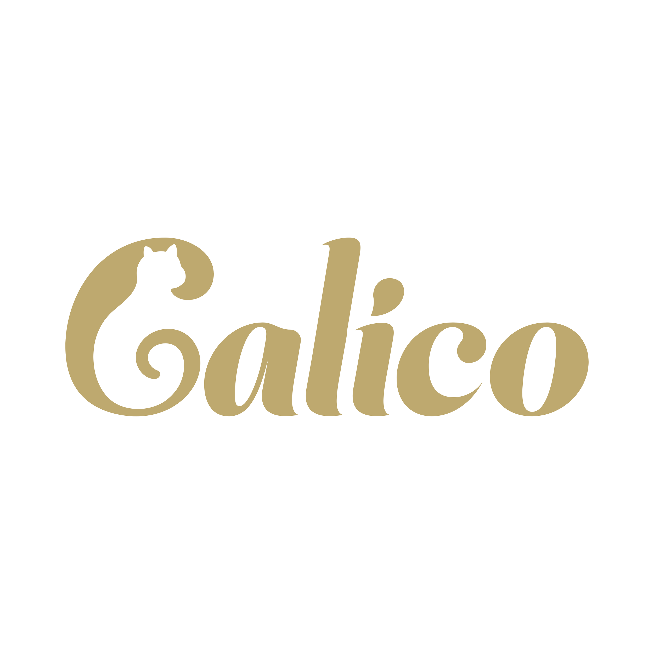 Calico Kitchen