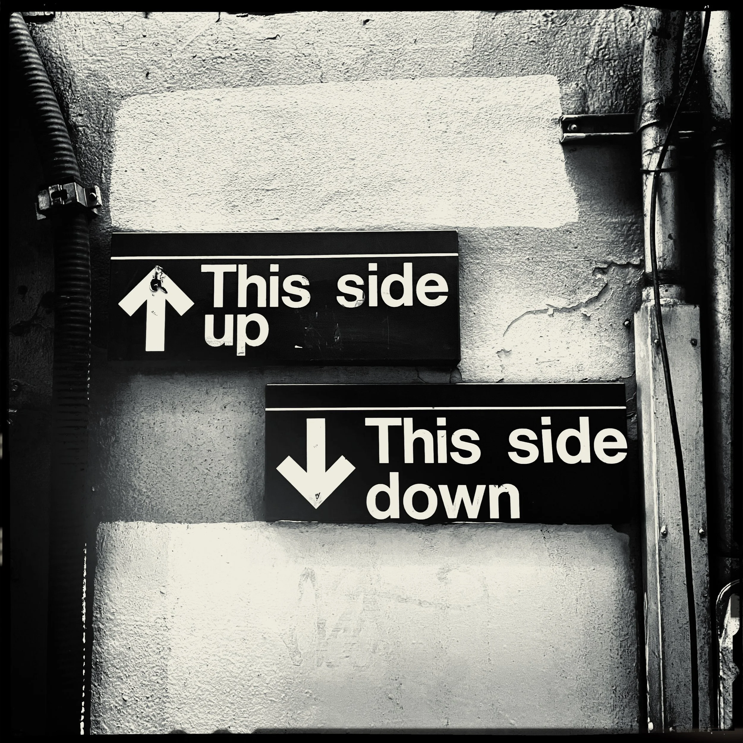 Photo Sep 17 2022, 10 35 21 AM.jpg