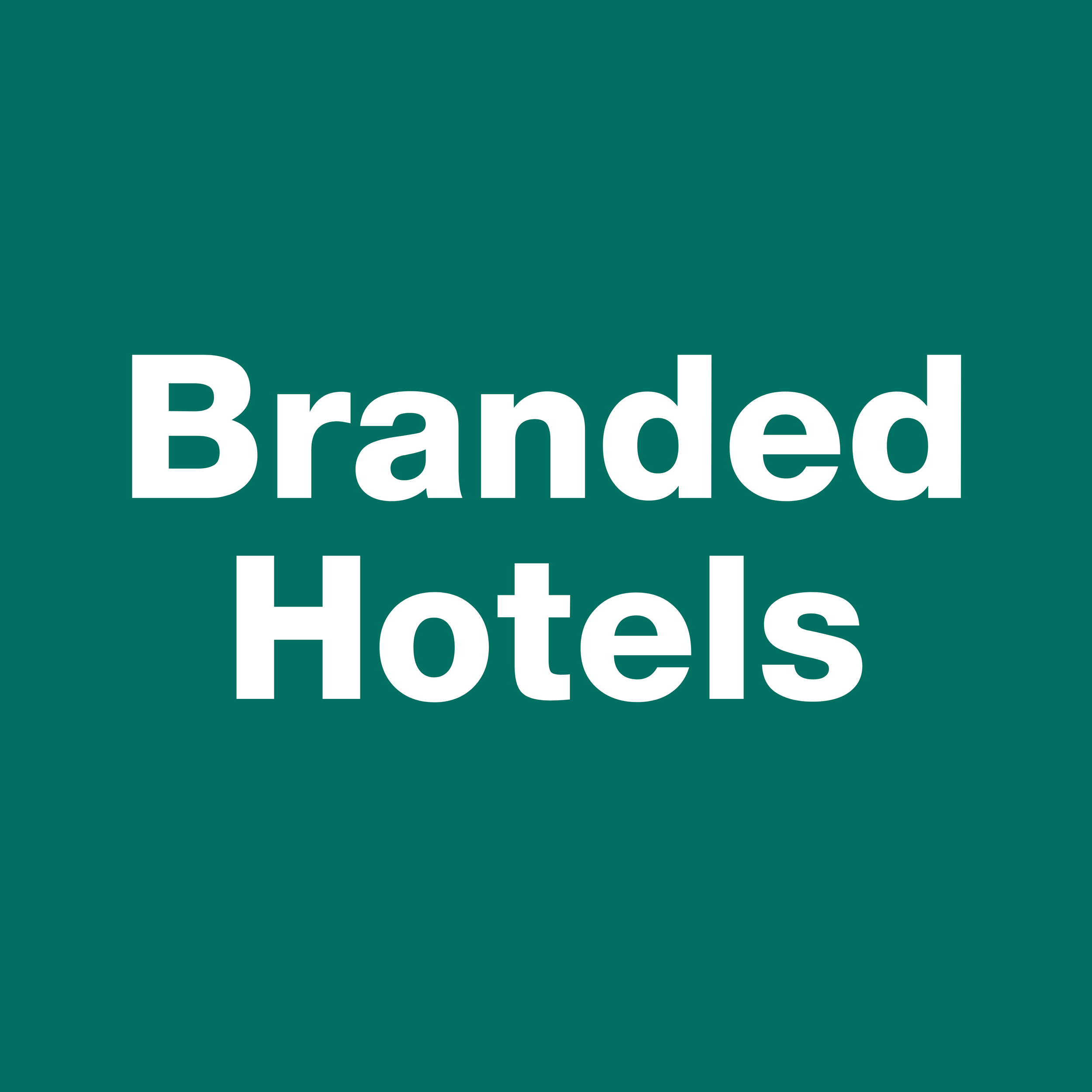 Branded Hotels.png