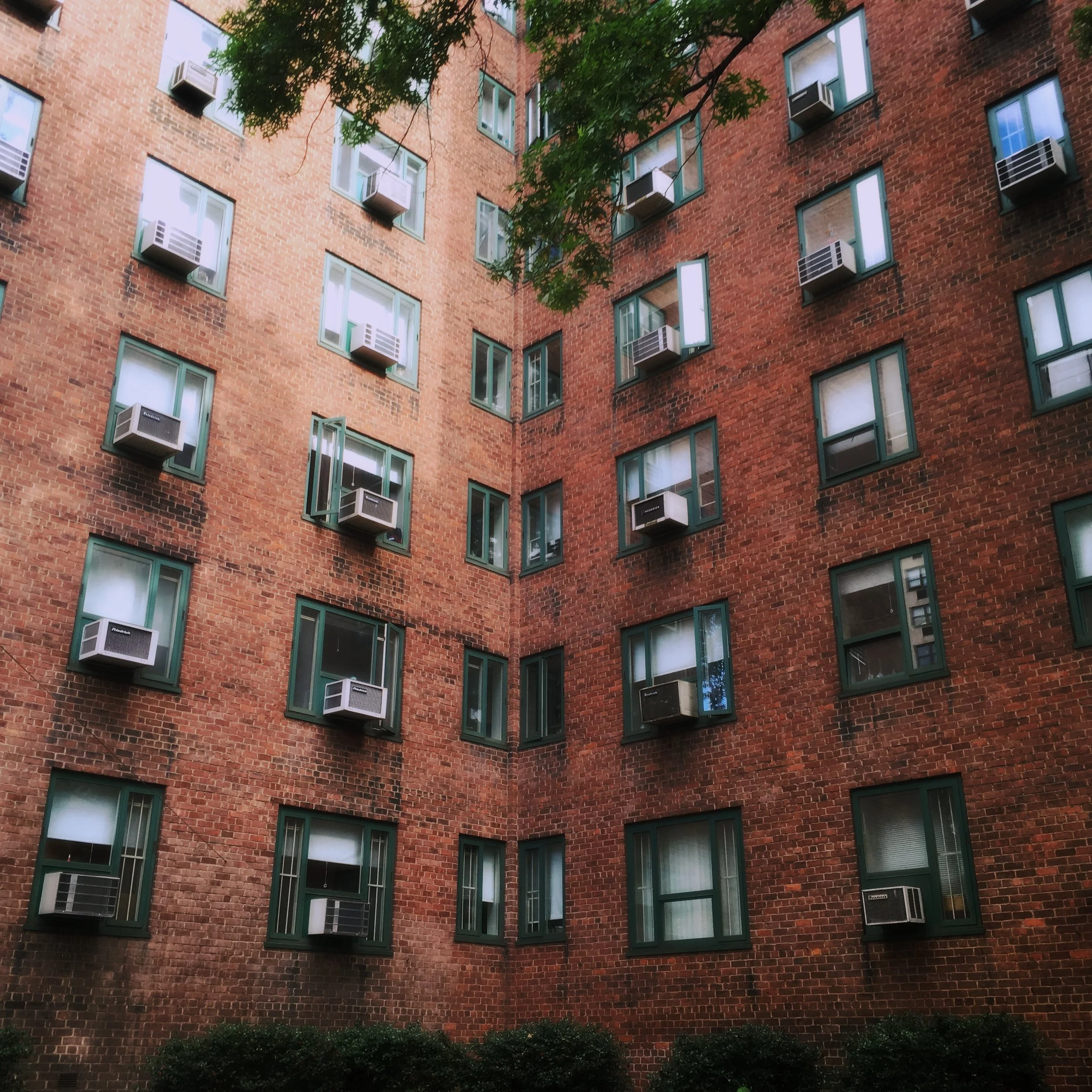 Photo Oct 16, 1 50 14 PM.jpg