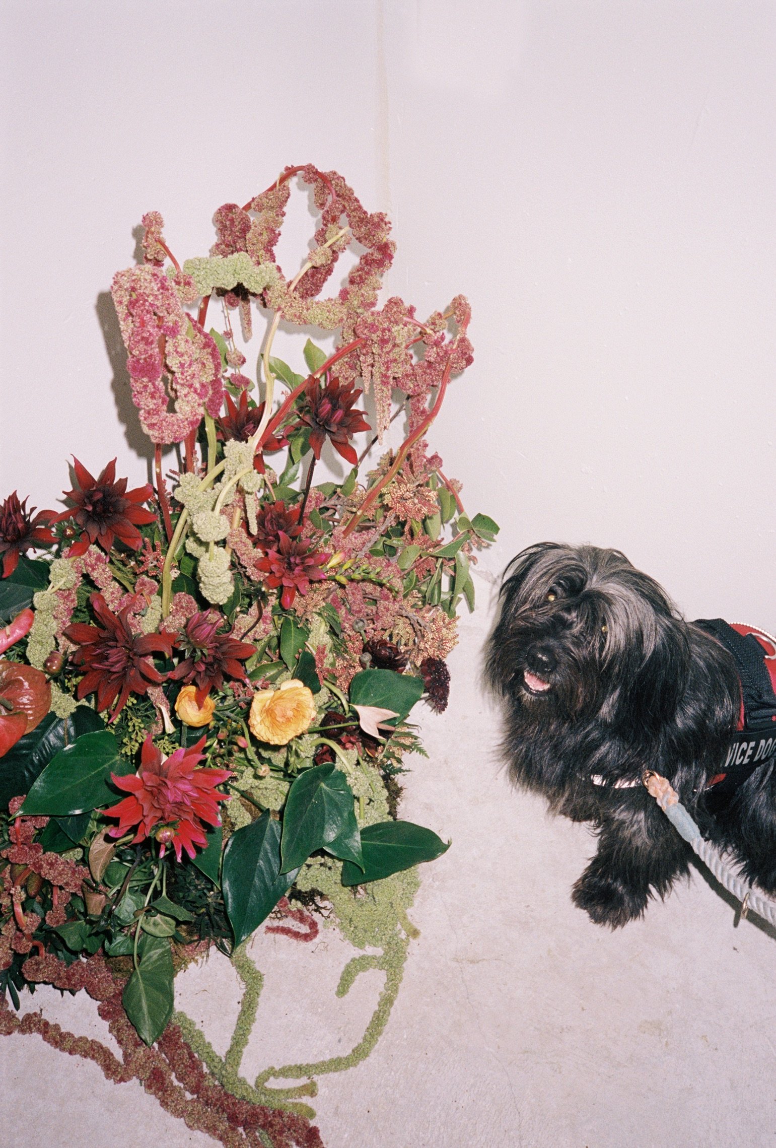 Photo by Claire Preston
