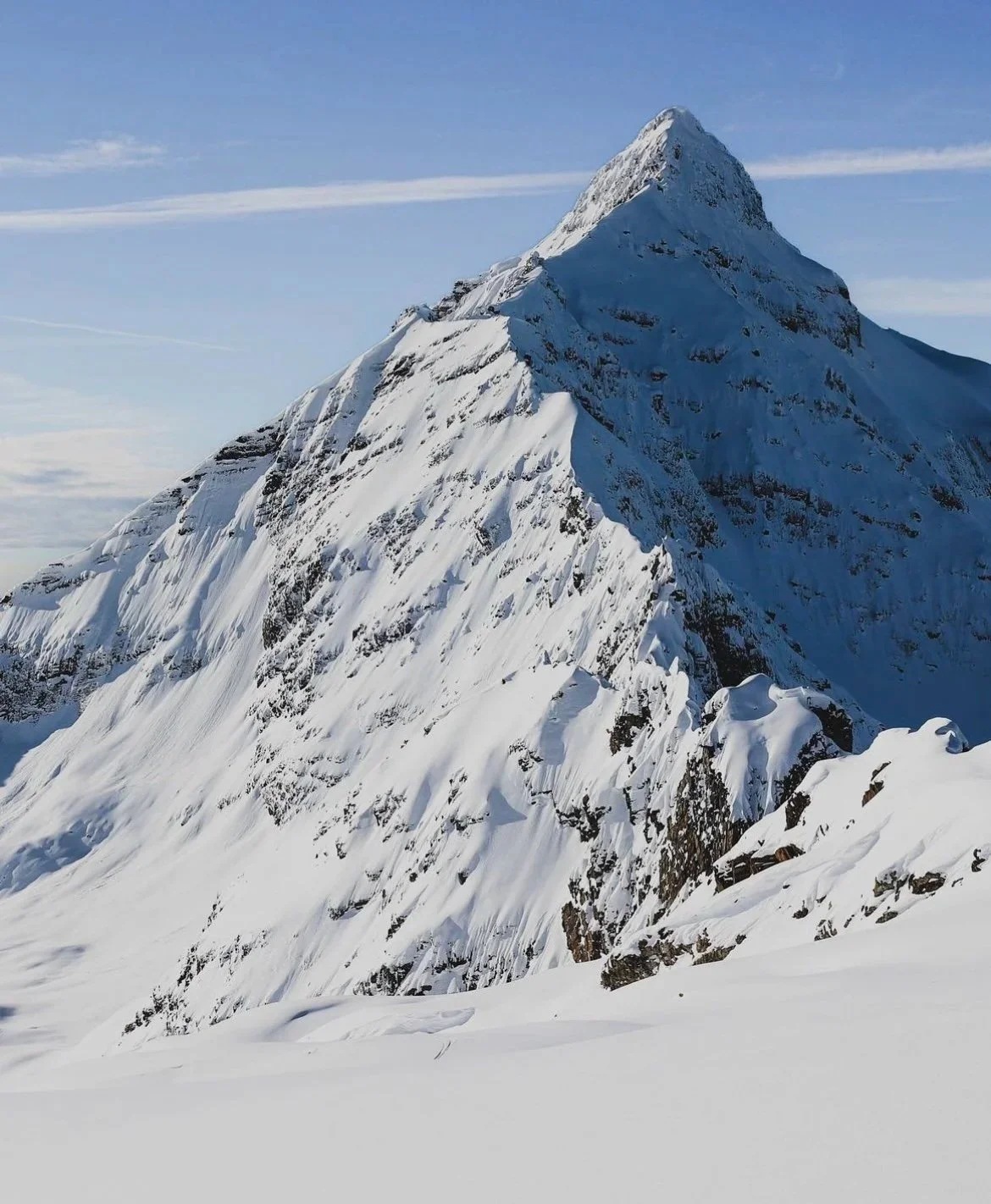 wilderness workplace training and workshops
