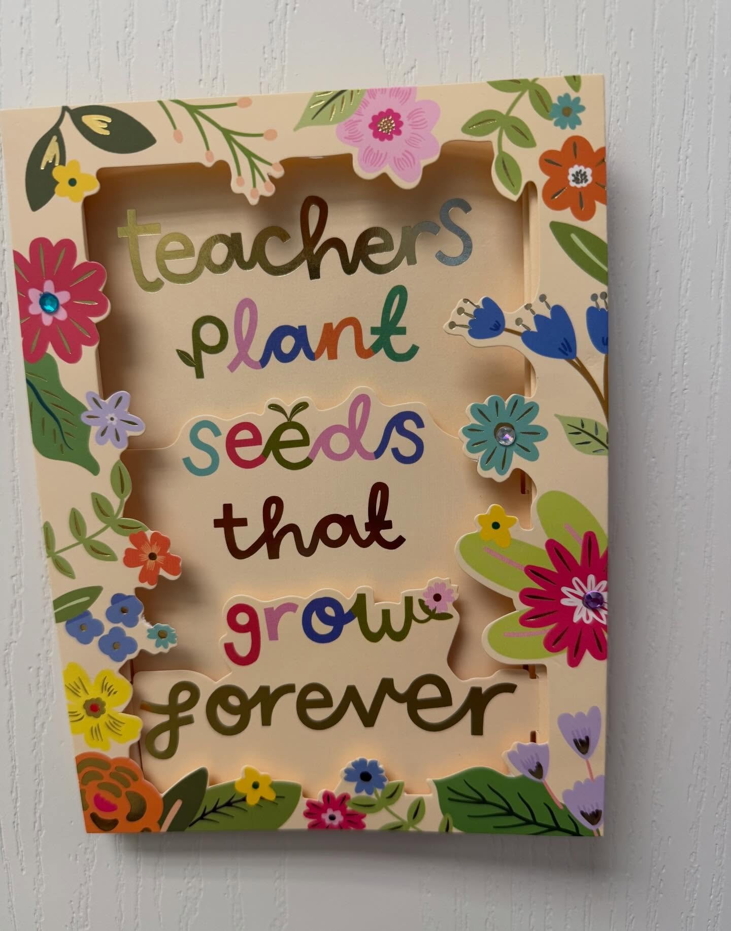 Such a special treat for Teacher Appreciation Week! Thank you to the best parents!! 💐🍎📚