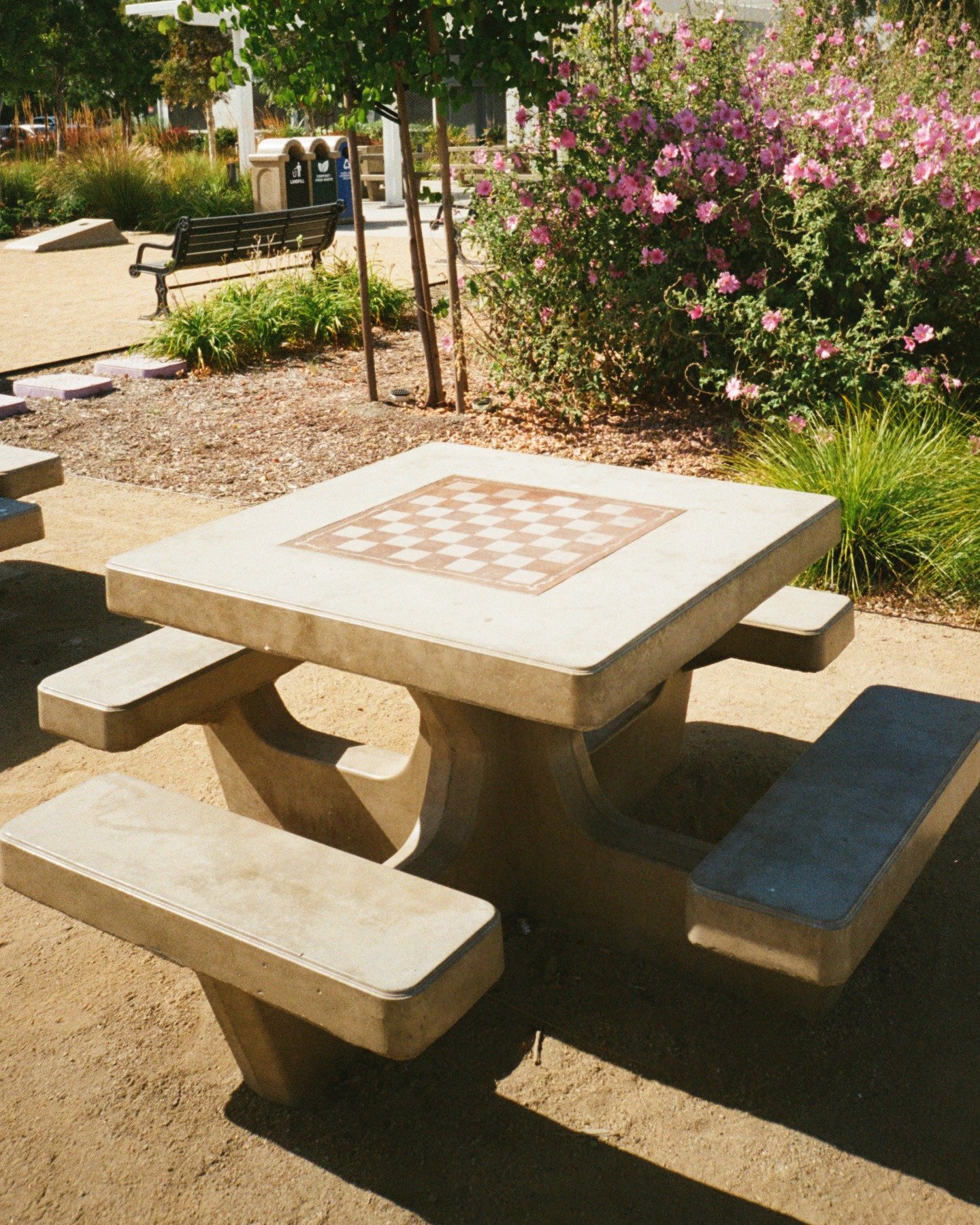 Chess board on concrete table.