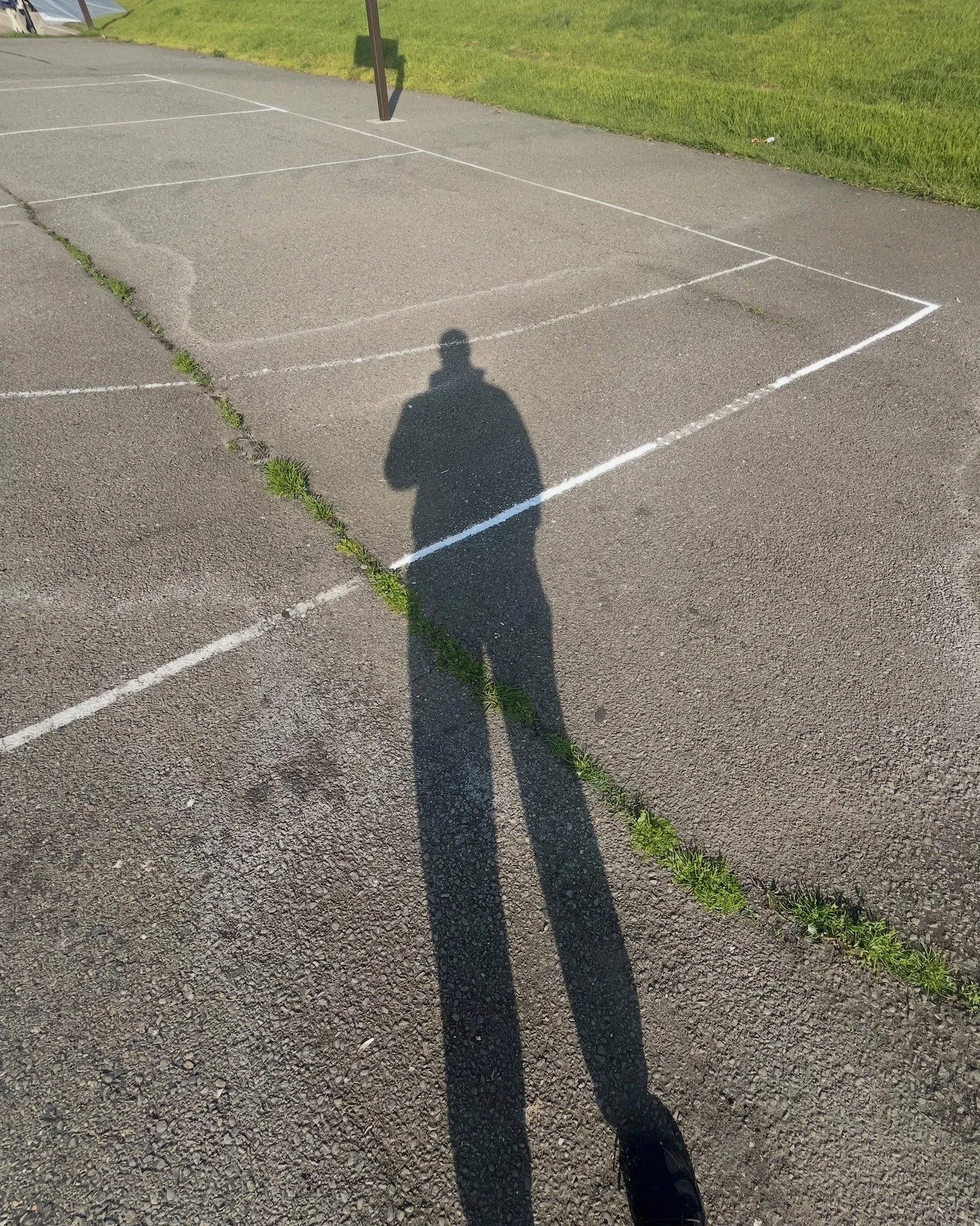 Ball is Life. I recently began repainting the basketball court in Wilma Chan Park. 

It's a labor of love. And I've got paint and paint markers for anyone who wants to volunteer to help. DM me for details.