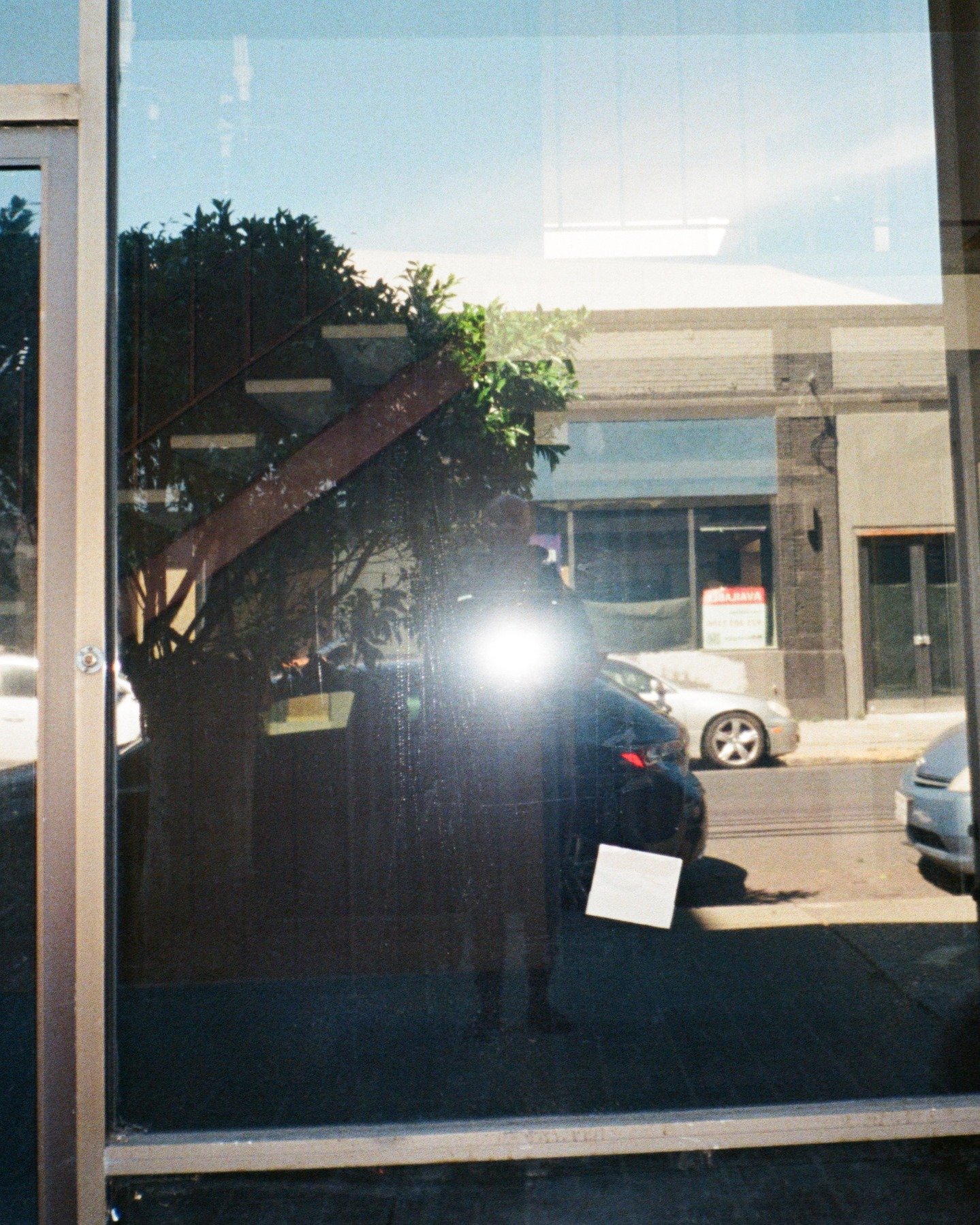 Jare Bear, the care bear. 

Photographed in 2026, outside of an old and unused office space.