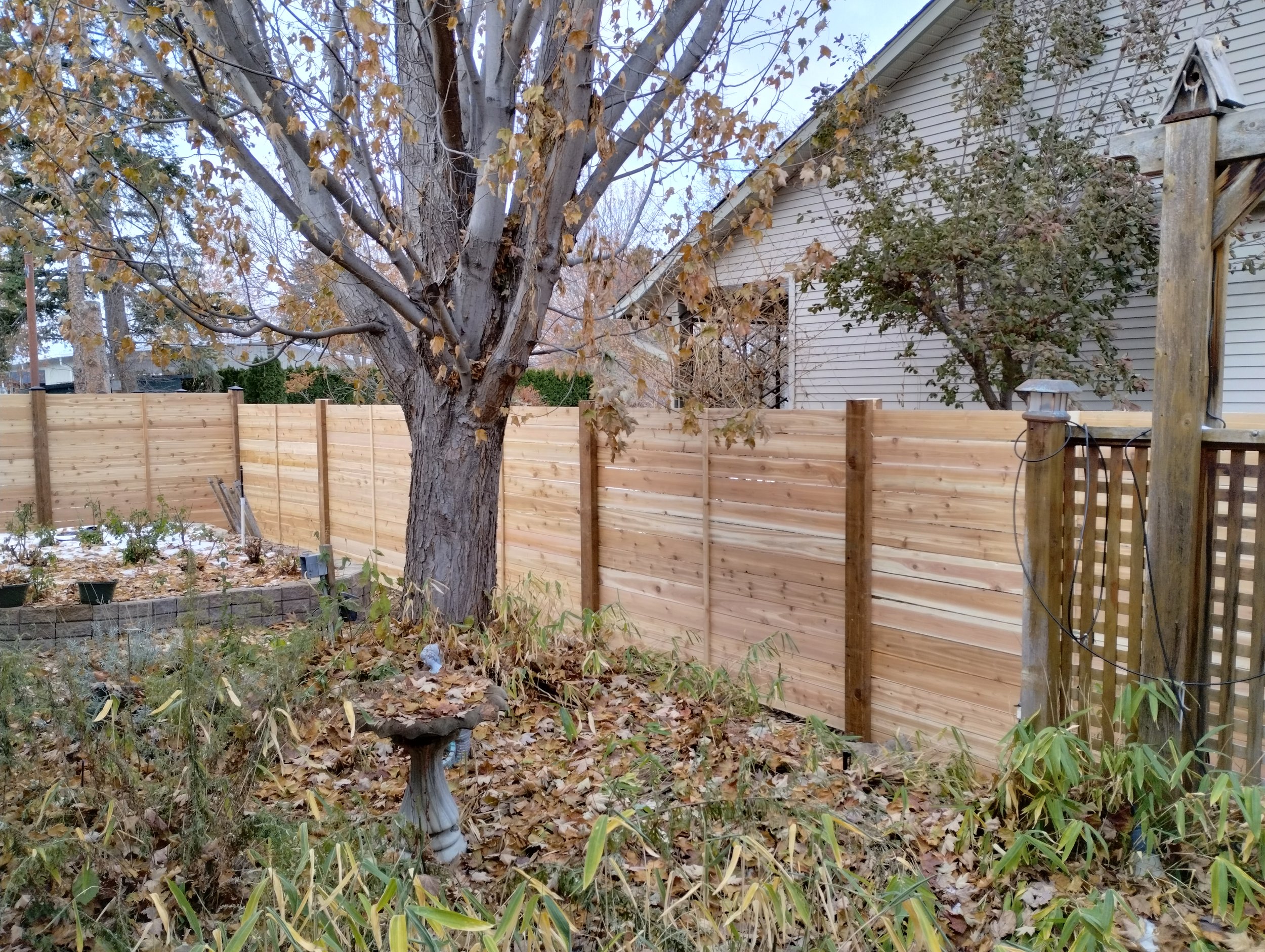 IMG_20221128_111305307_HDR.jpg