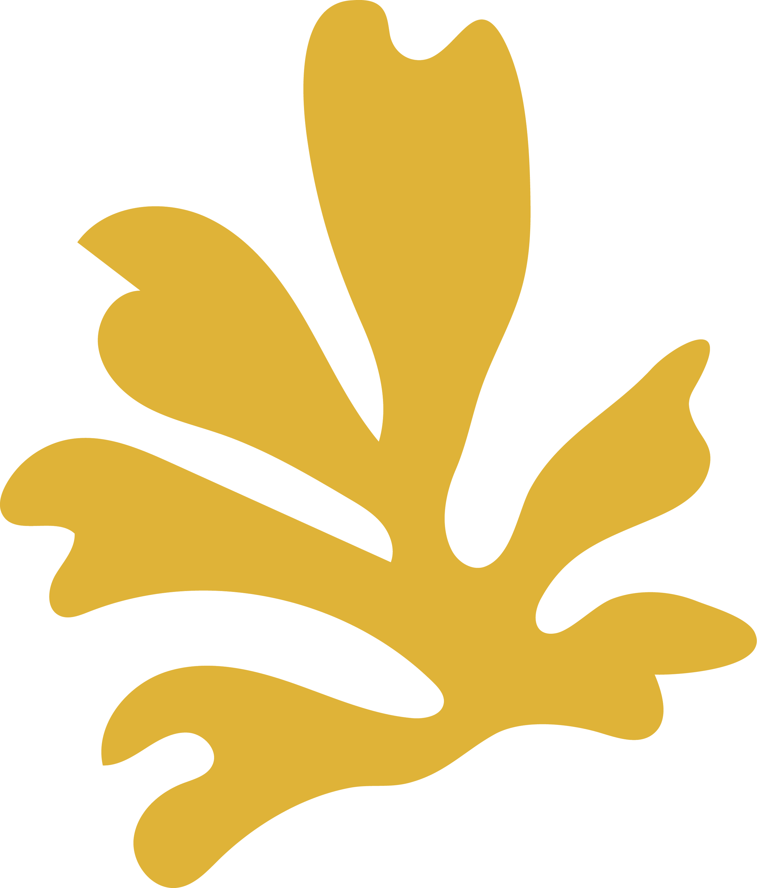 Foliage_4 (1).png