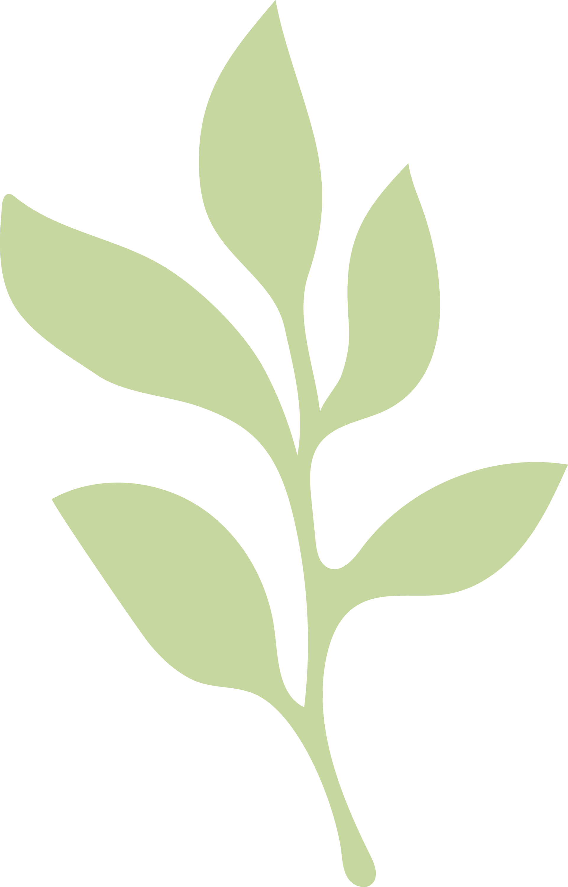 Foliage_3 (3).png