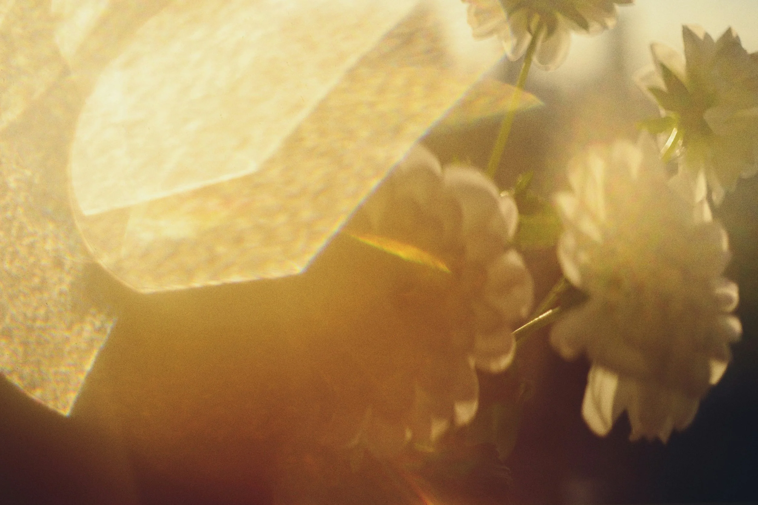 Reflection Brings Clarity — and Clarity Eases Overwhelm