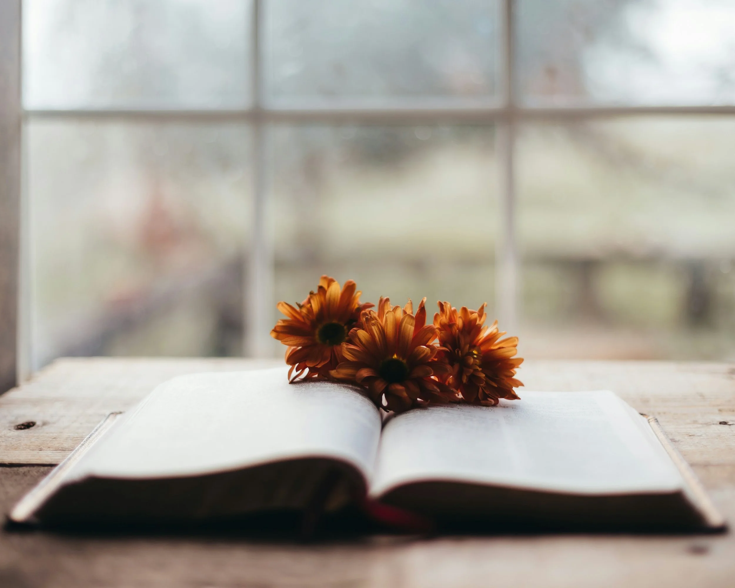 The Psychology of Self-Sabotage: Why You Do It and How to Stop