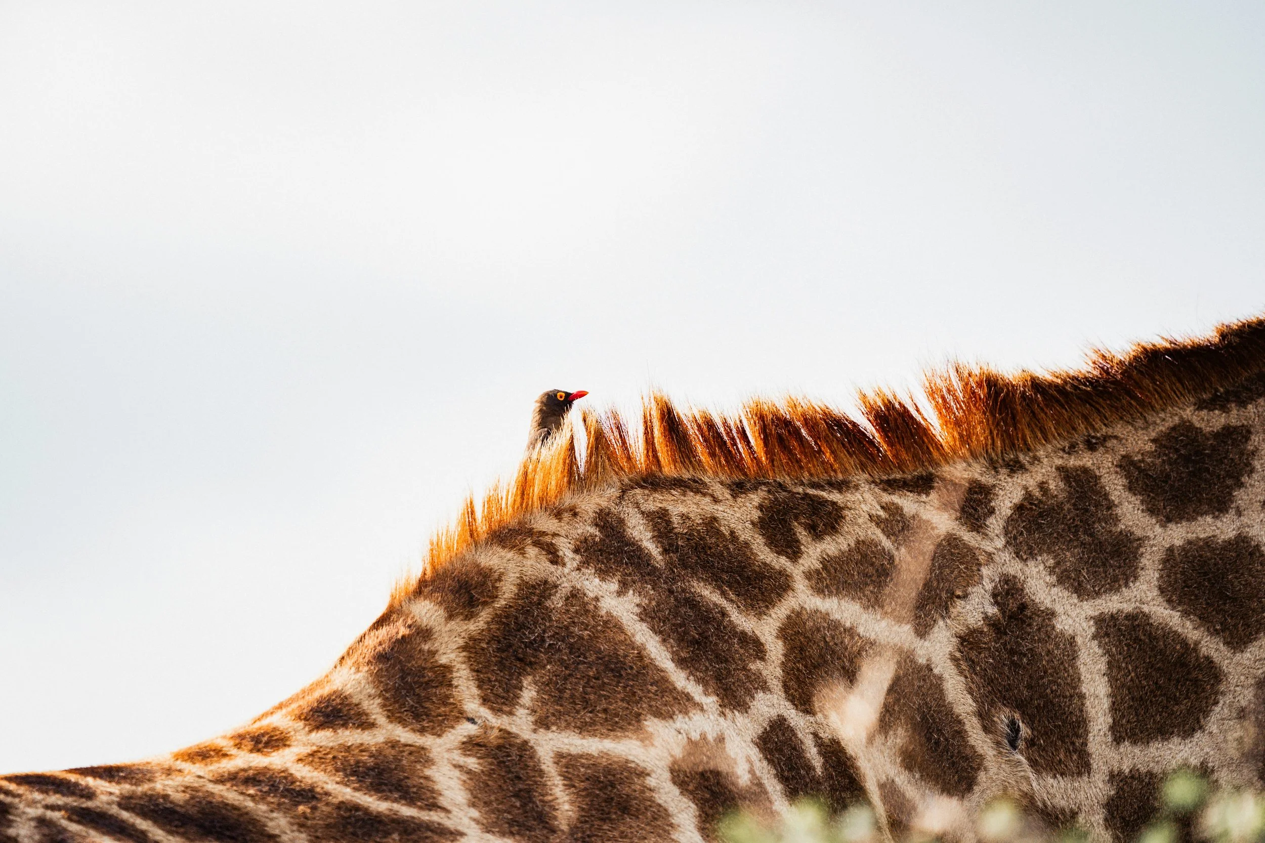 How to Create Lasting Change by Becoming the Person You Want to Be