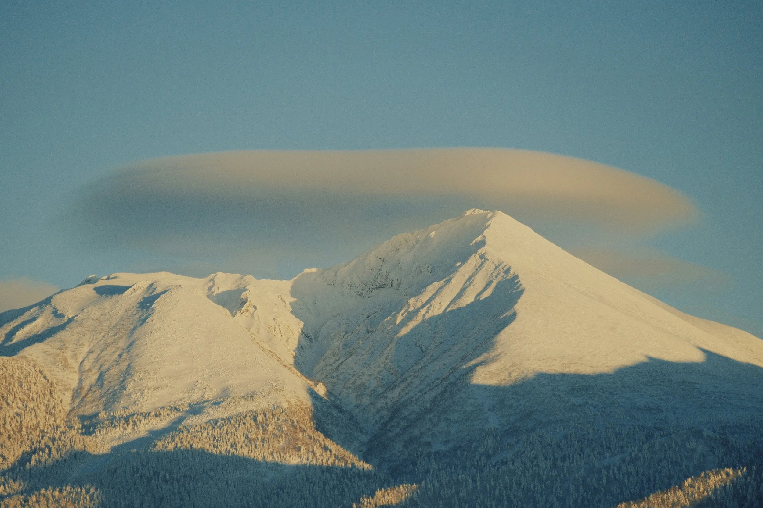 Navigating Unhealthy Relationship Patterns