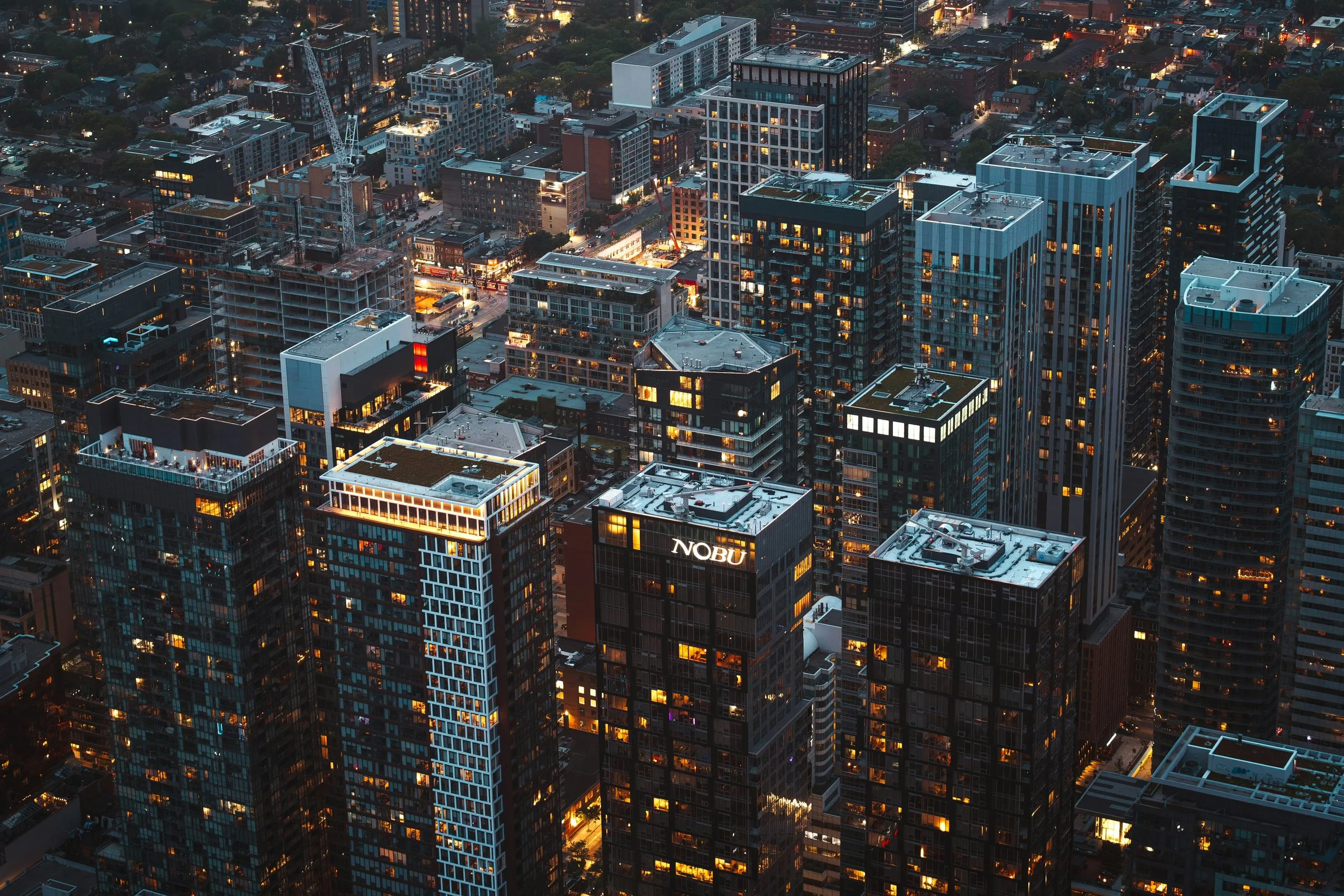 Life Coach vs. Therapist