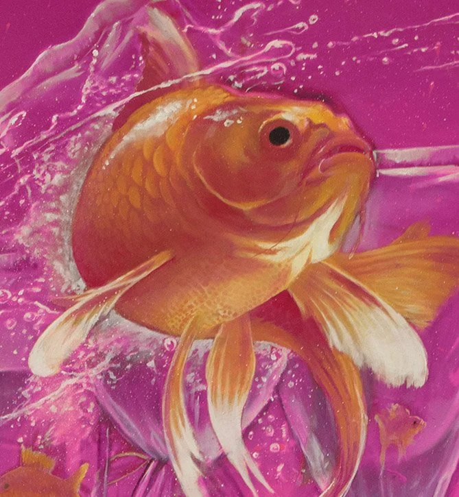 fish.jpg