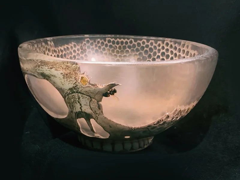 Bee Bowl 04.jpg