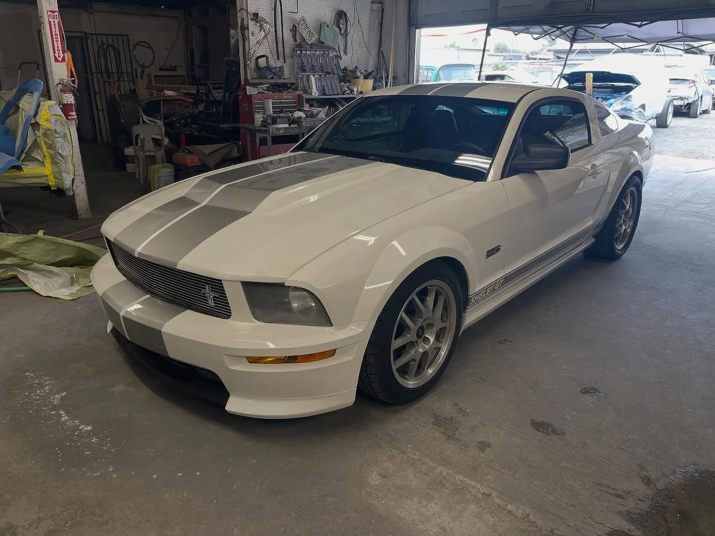 White mustang with silver strips on hood scoop