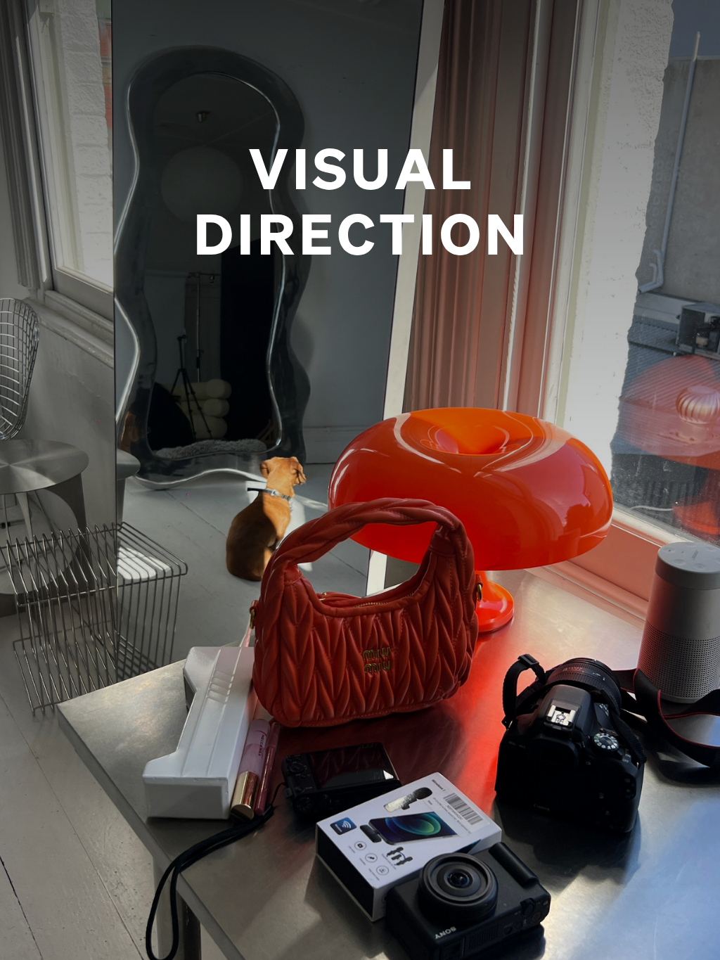 Visual Direction