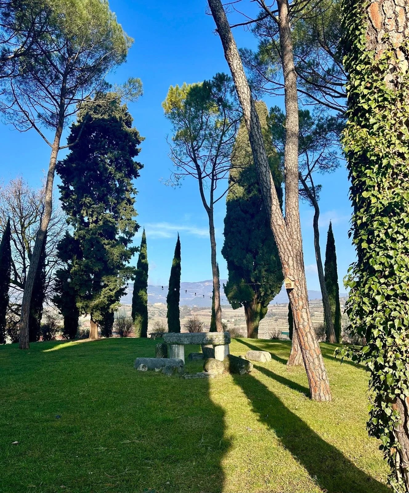 Walked these vines with the man that owns them. Ate food grown on land that&rsquo;s been producing for over a thousand years. This is the best way to explore Valpolicella.

#travelwithtess #valpolicella