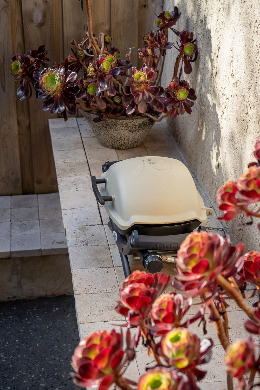 A small grill on a tiled counter next to a large pot with purple and green succulents, with a wooden fence and a concrete wall in the background.