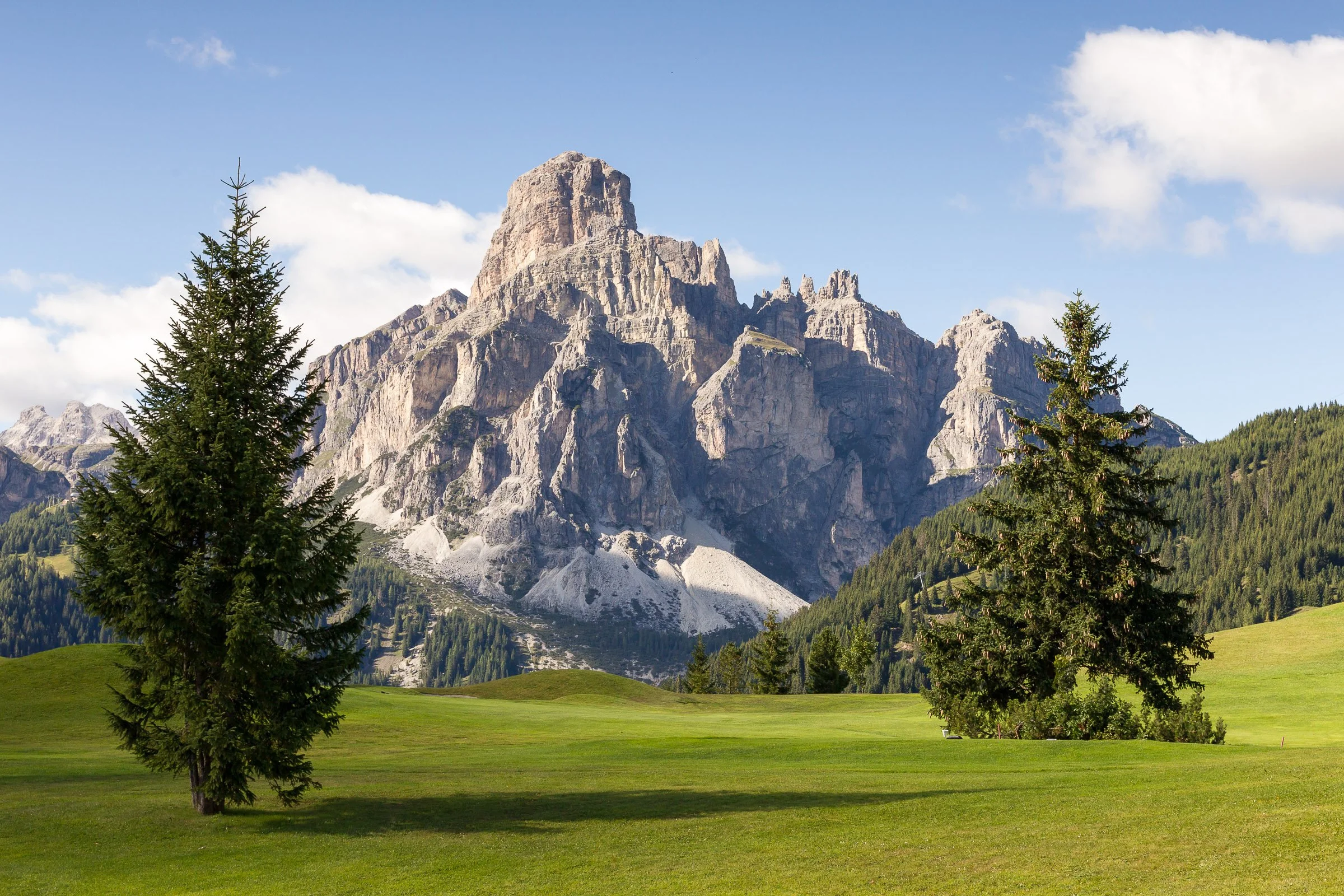 A landscape view of a grassy field with two evergreen trees, mountains in the background, and a partly cloudy sky.