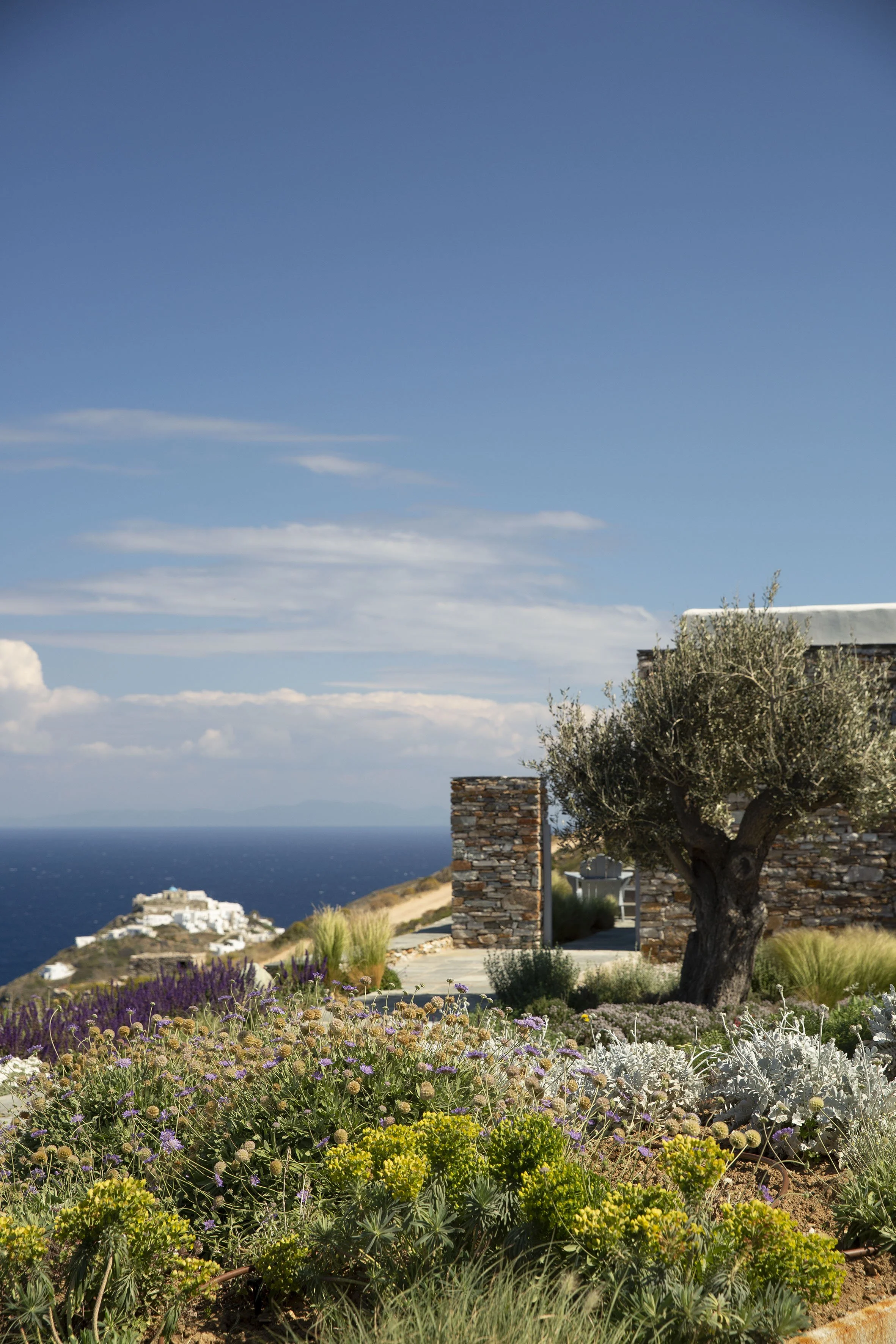 A scenic coastal garden with various purple, yellow, and green plants, a stone building with a chimney, a tree, and a view of the ocean in the background under a blue sky with clouds.