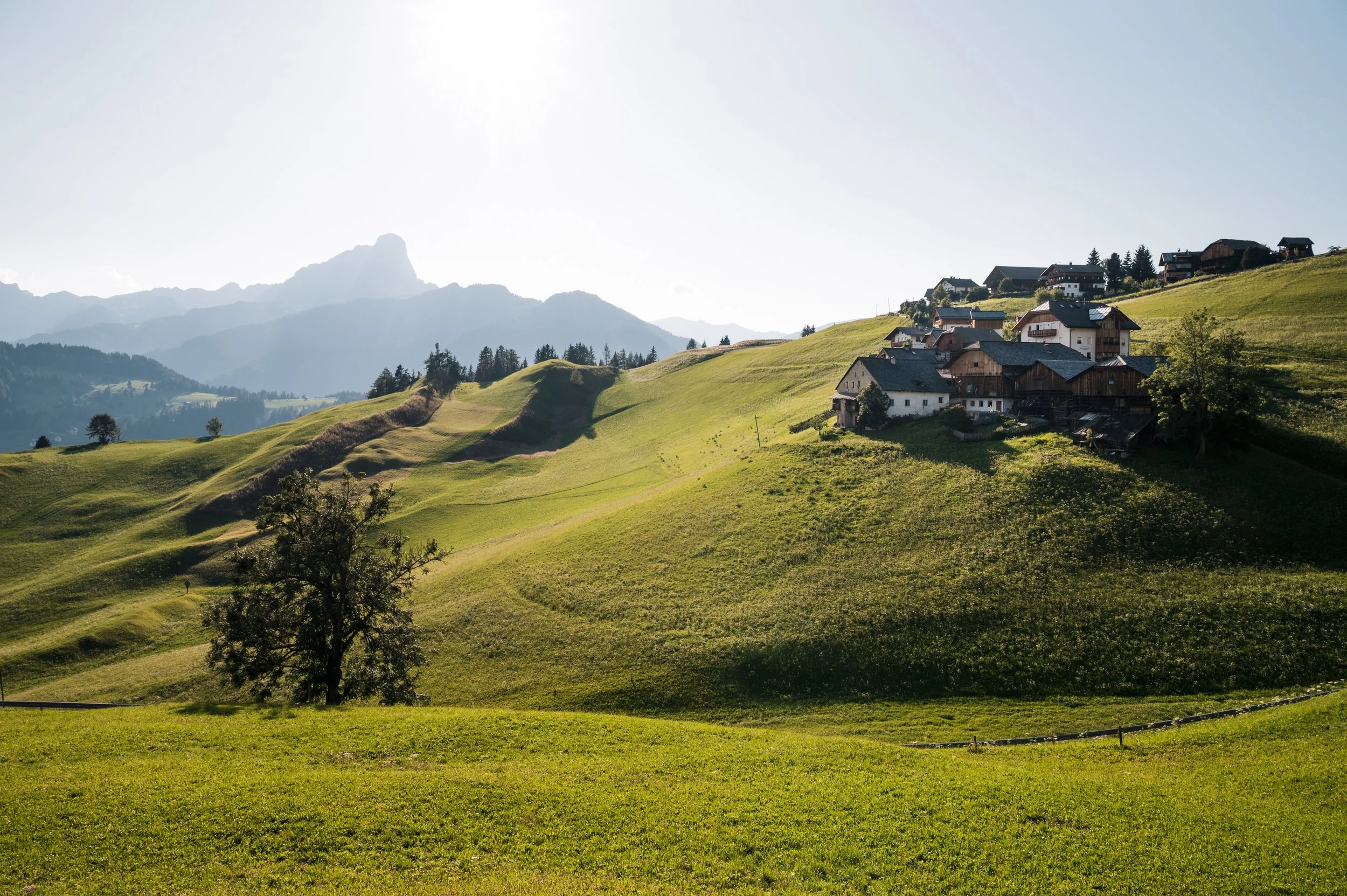 A scenic view of green rolling hills with scattered houses, trees, and distant mountains under a bright sky of the Dolomites in AUtumn