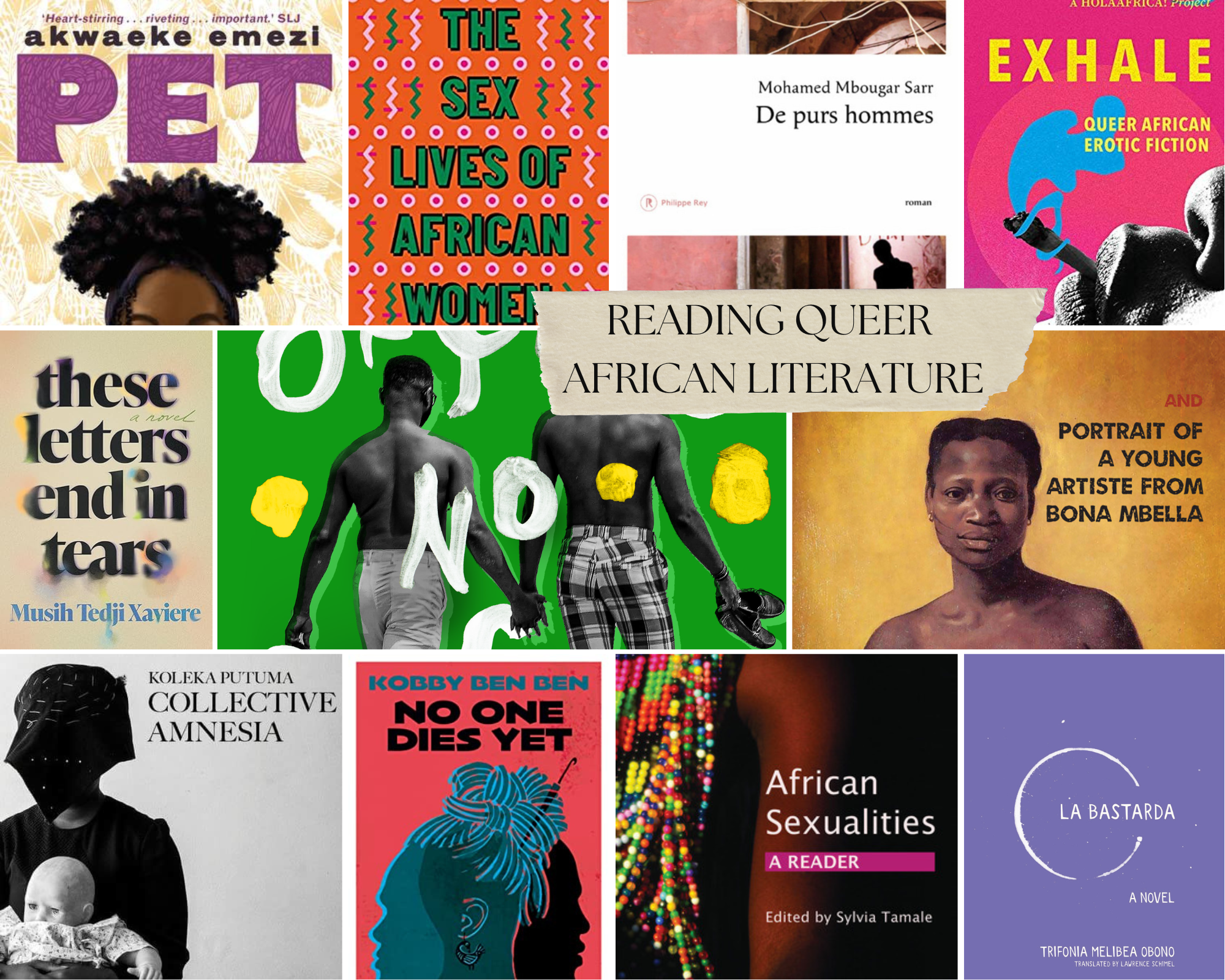Reading Queer African Literature