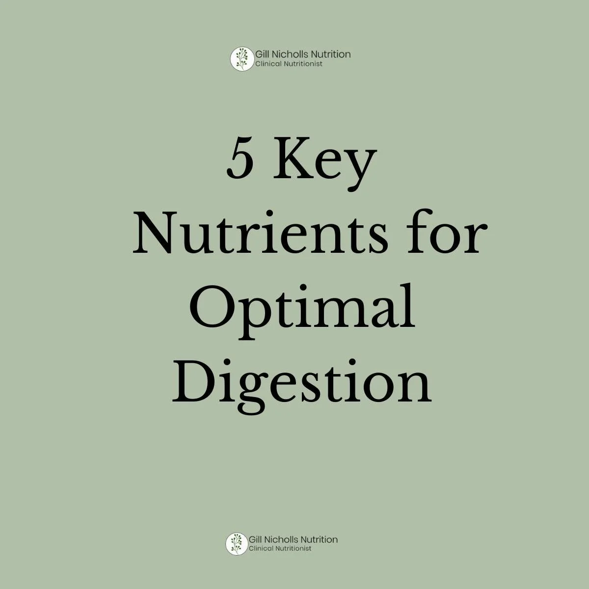 ✨ 5 Key Nutrients for Optimal Digestion ✨

All nutrients matter for health and digestion, but these 5 have especially important roles.
 Let&rsquo;s break them down:

🧂 Sodium
The body&rsquo;s great solvent! Sodium helps keep minerals like magnesium 