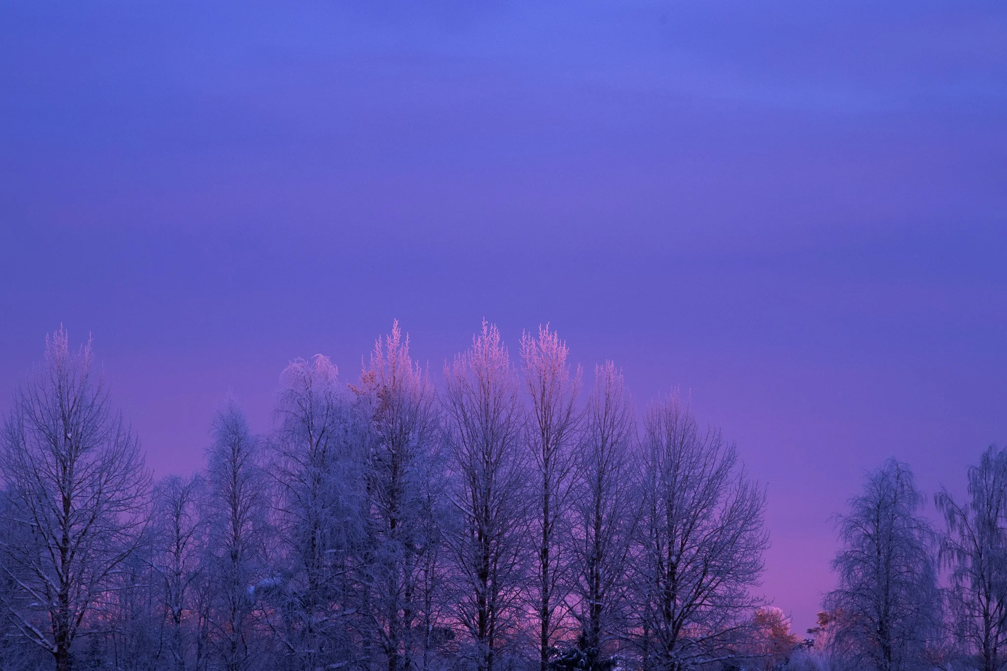 The Week Ahead for Strategy, Sales &amp; Leadership